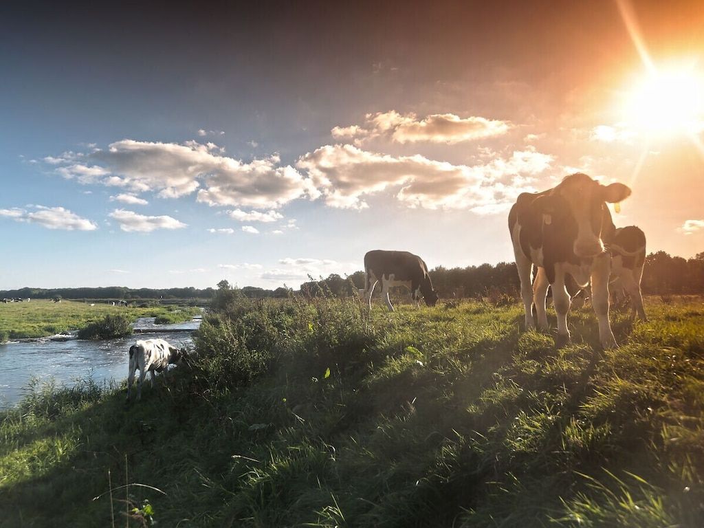 621804 in Gramsbergen - Foto 32 van 36