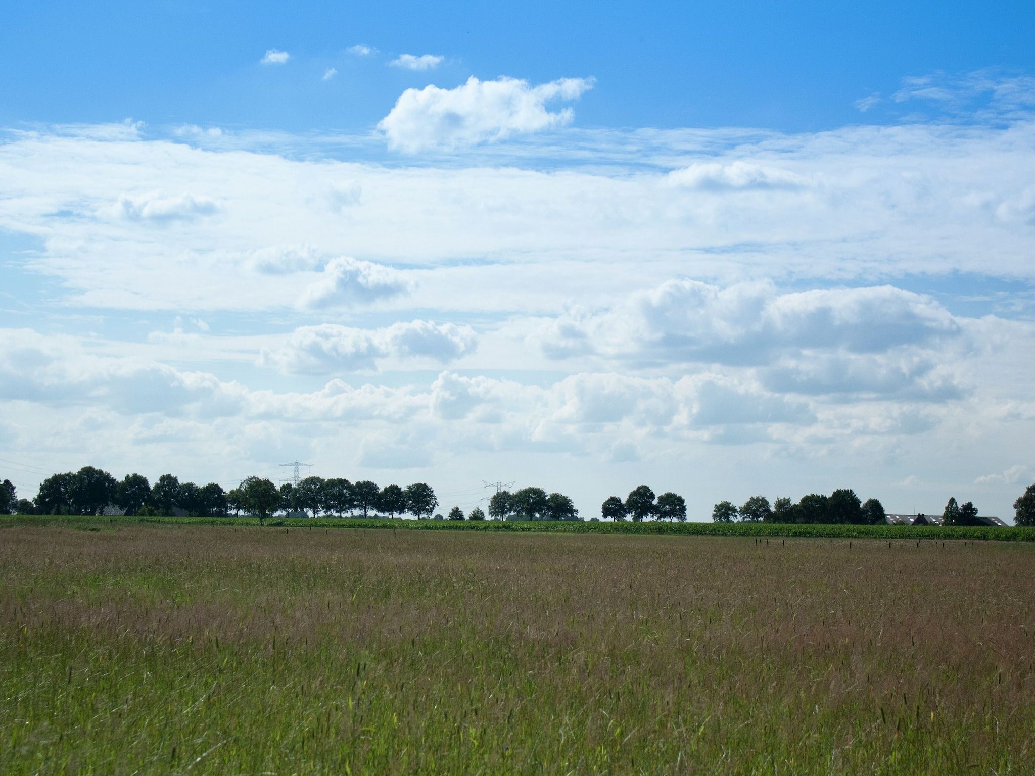 Buitenplaats Berg en Bos nummer 43 in Overijssel - Foto 31 van 31