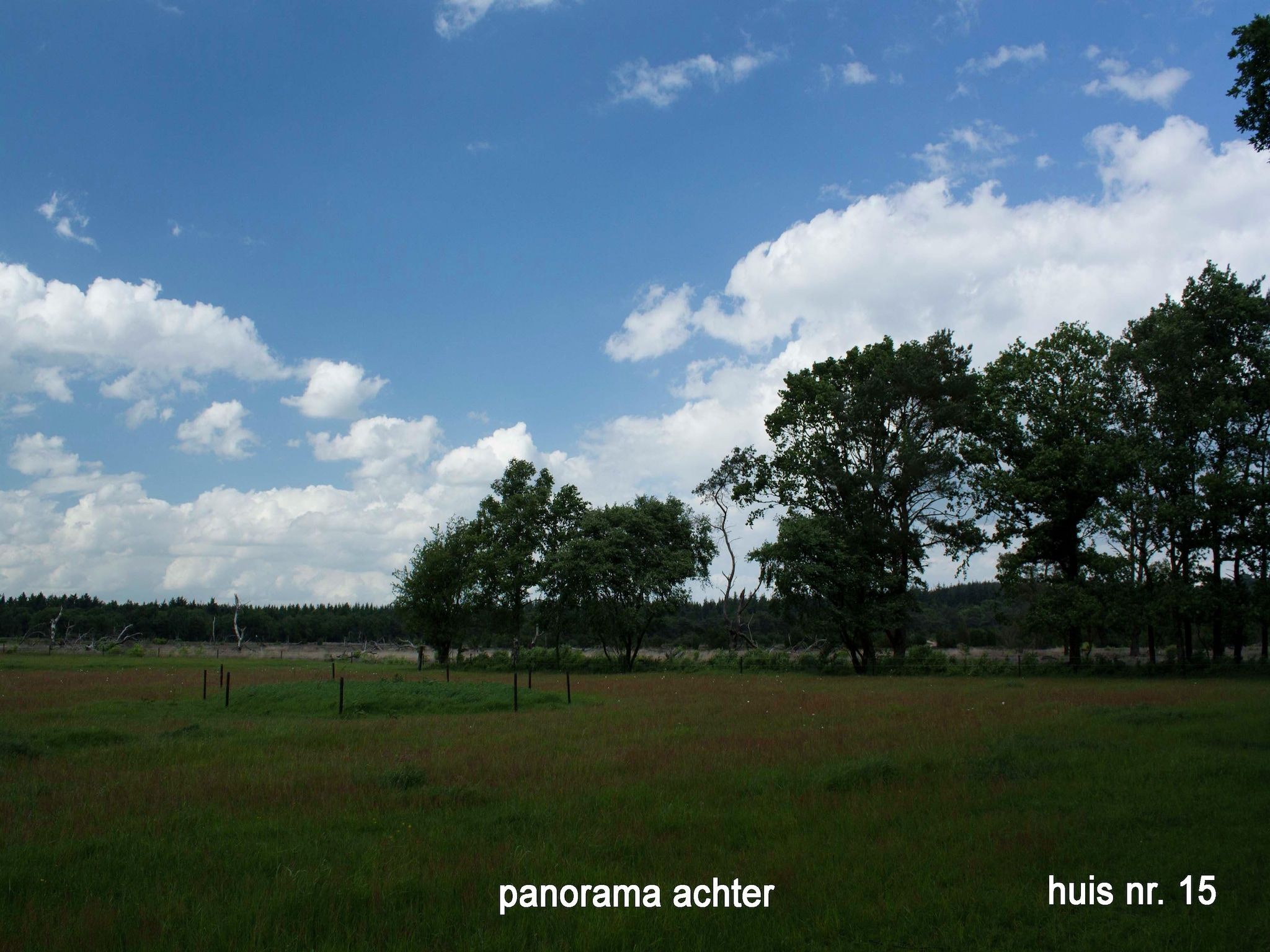 Het uitzicht vanaf Buitenplaats Berg en Bos nummer 15 in Lemele