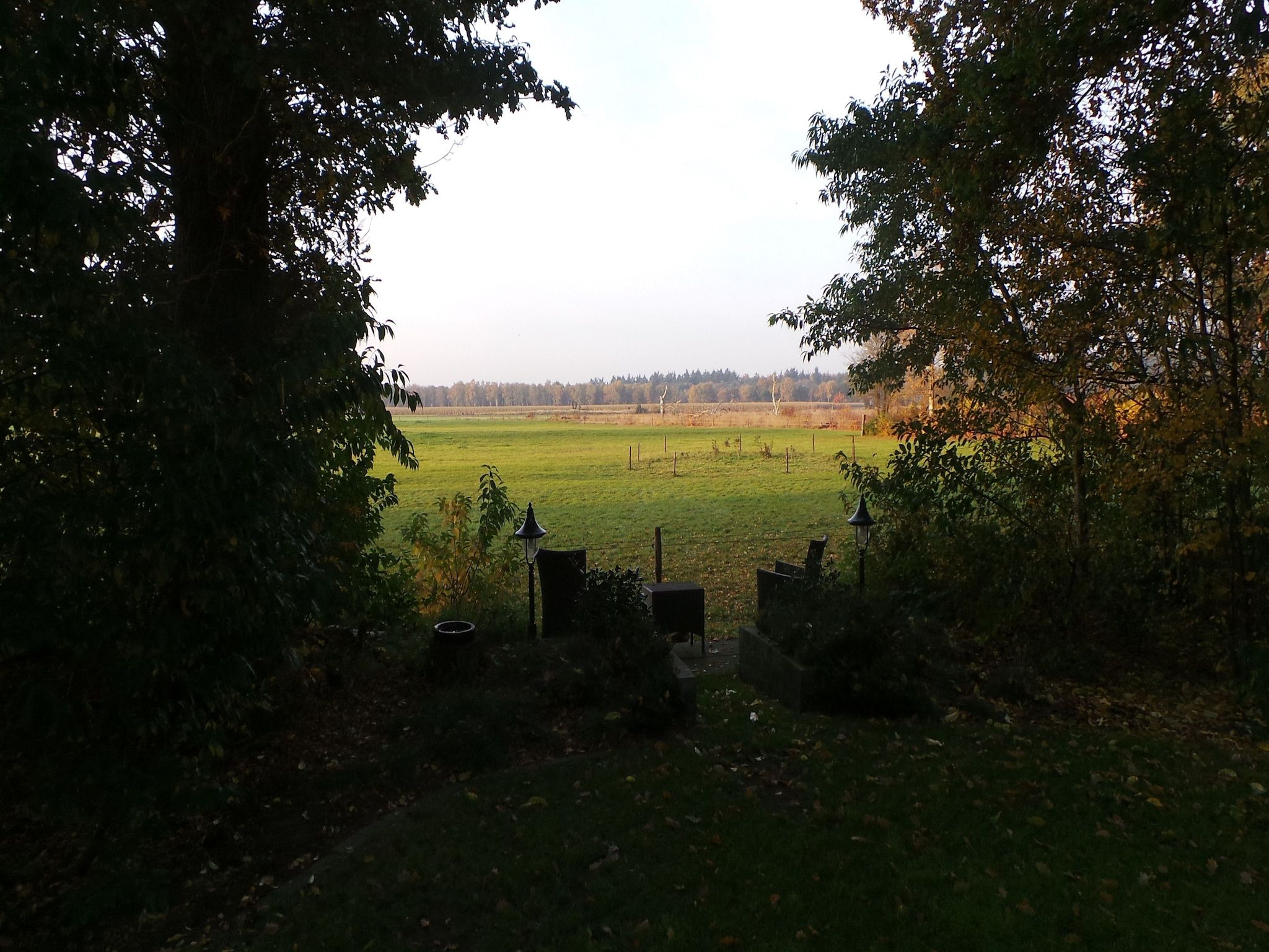 Het uitzicht vanaf Buitenplaats Berg en Bos nummer 15 in Lemele