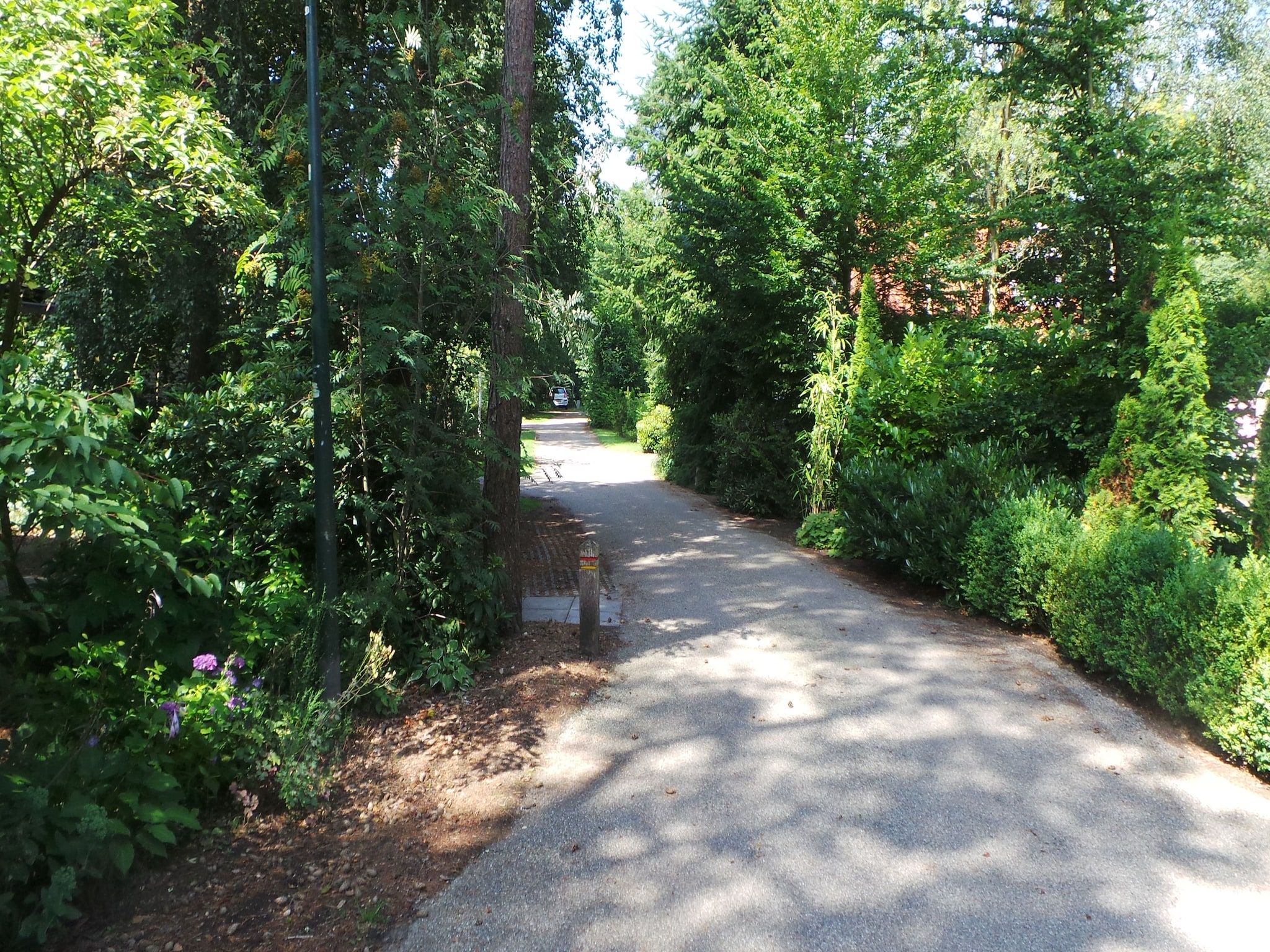 Parkfaciliteiten bij Buitenplaats Berg en Bos nummer 15 in Lemele