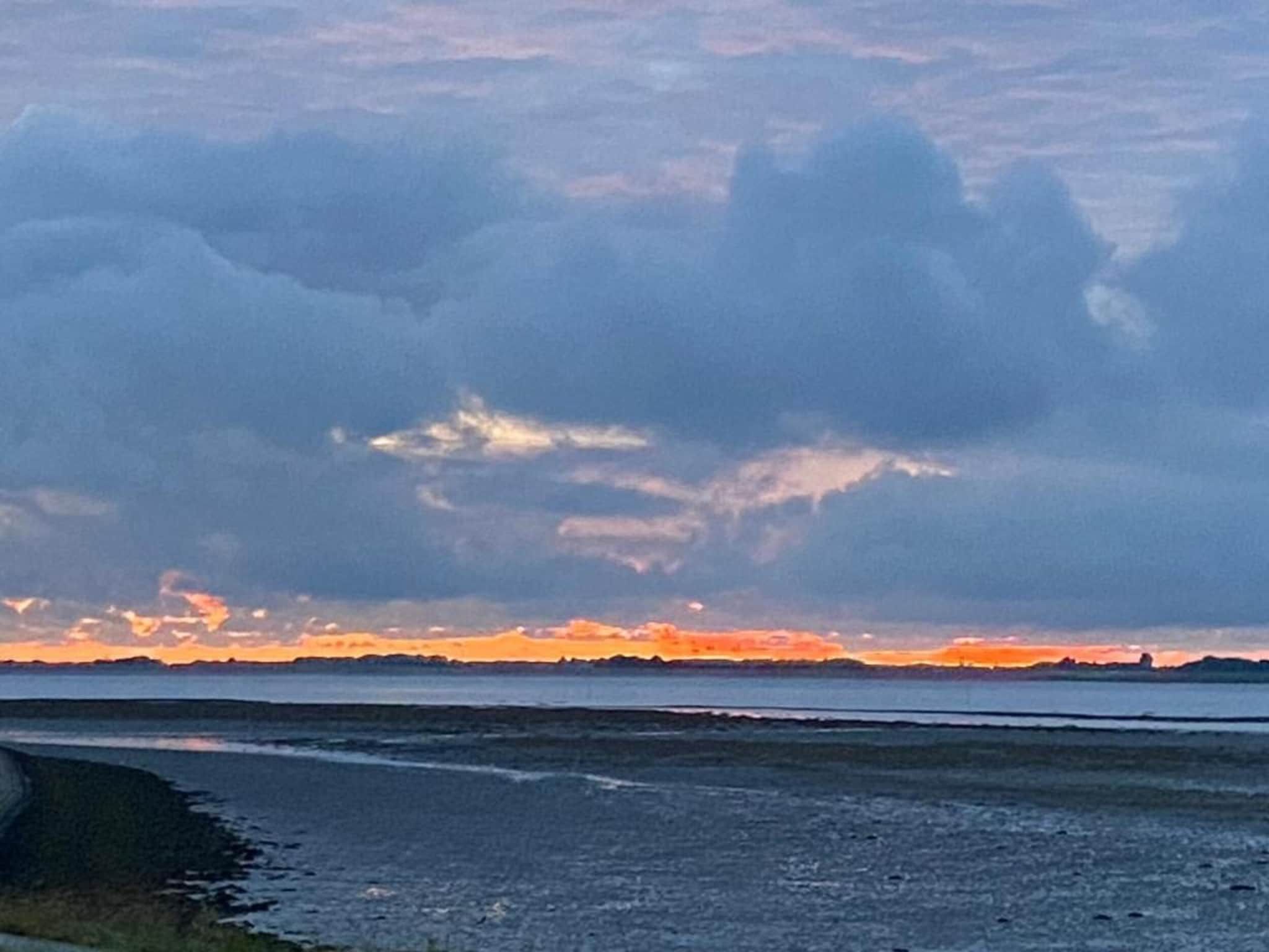 De Meerkoet Huis Nr 37 in Scherpenisse - Foto 33 van 40