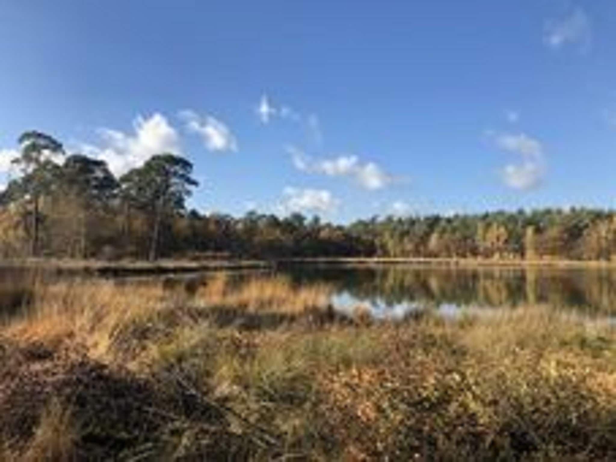 Boerderij Dwingelderveld in Dwingeloo - Foto 37 van 37