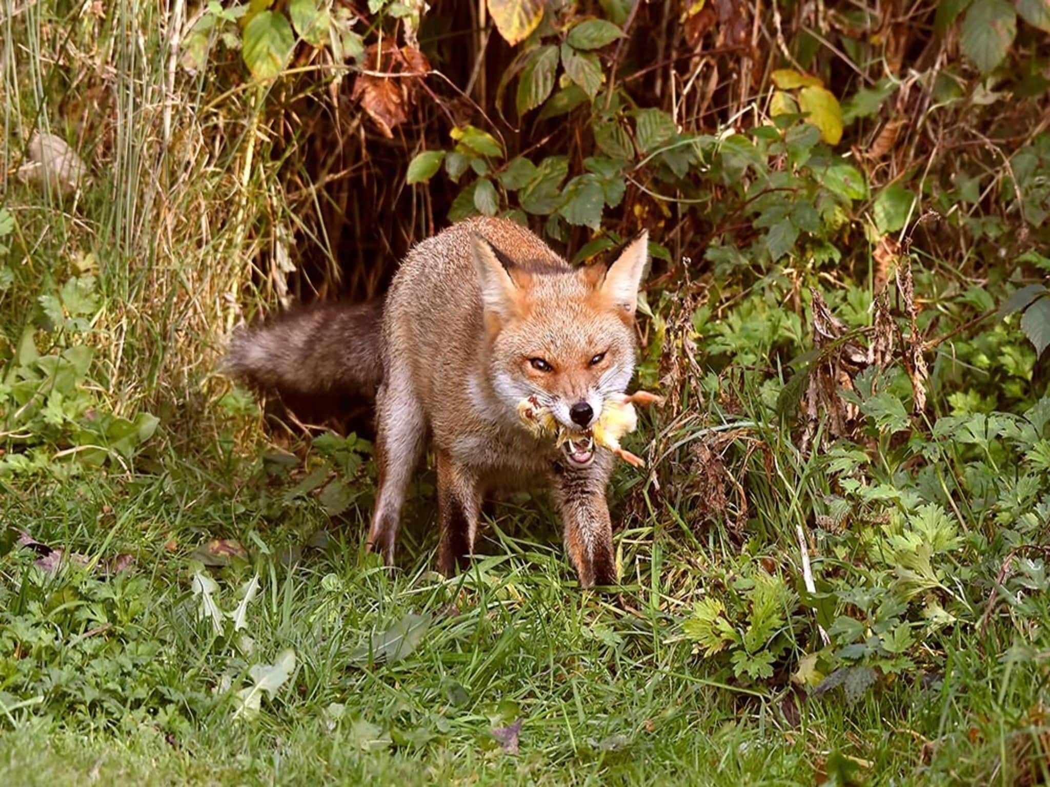 De omgeving van Buitenplaats Berg en Bos nummer 4 in Lemele