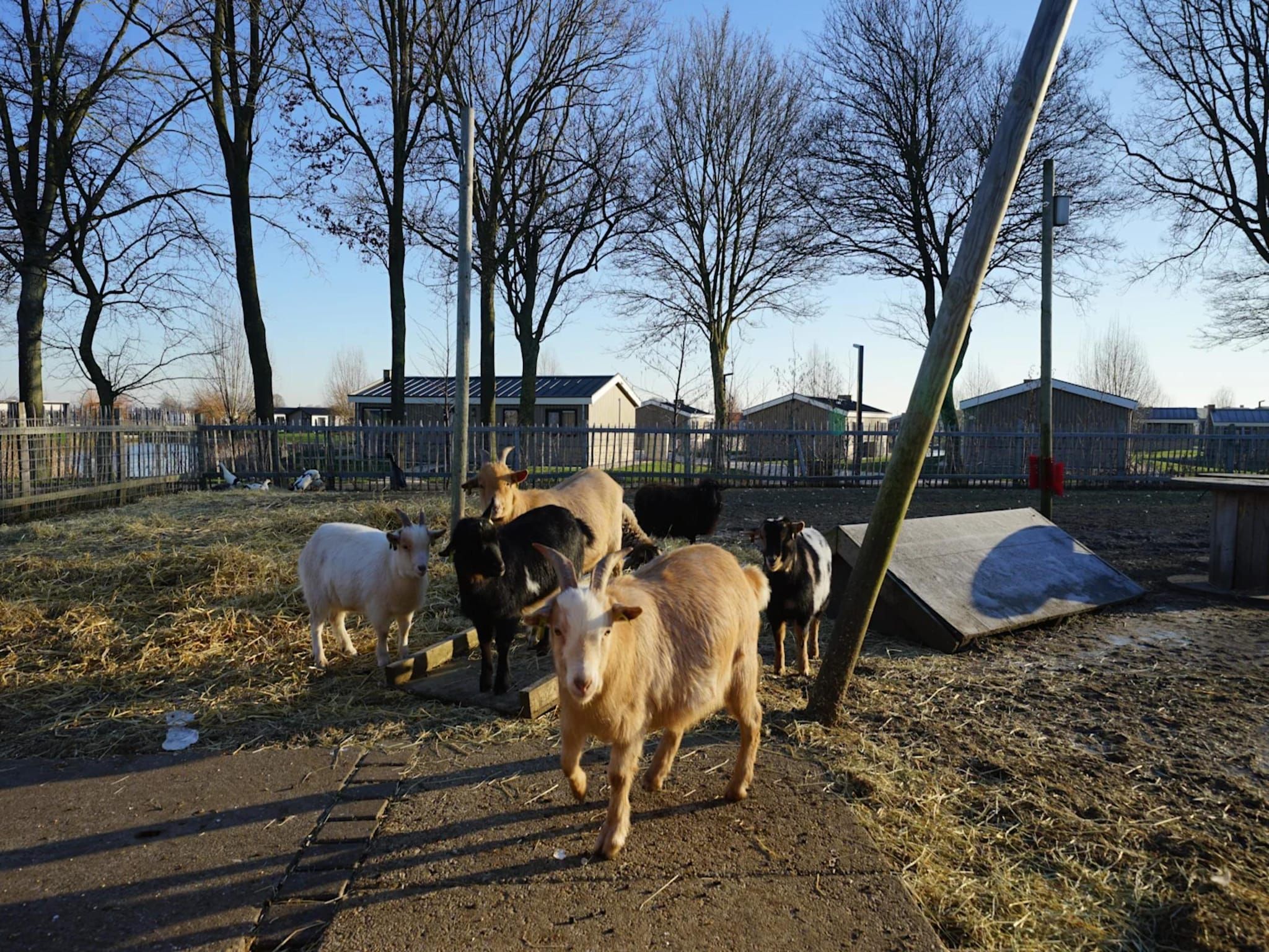 Parkfaciliteiten bij Resort De IJssel Eilanden 8 in Kampen