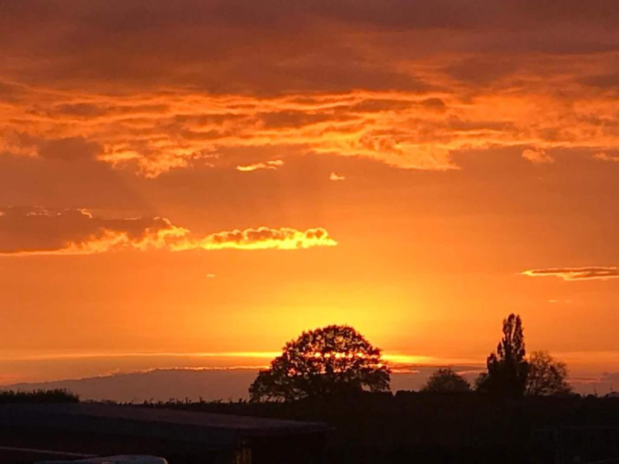 Herenhoeve de Bockhof in Schimmert - Foto 35 van 40