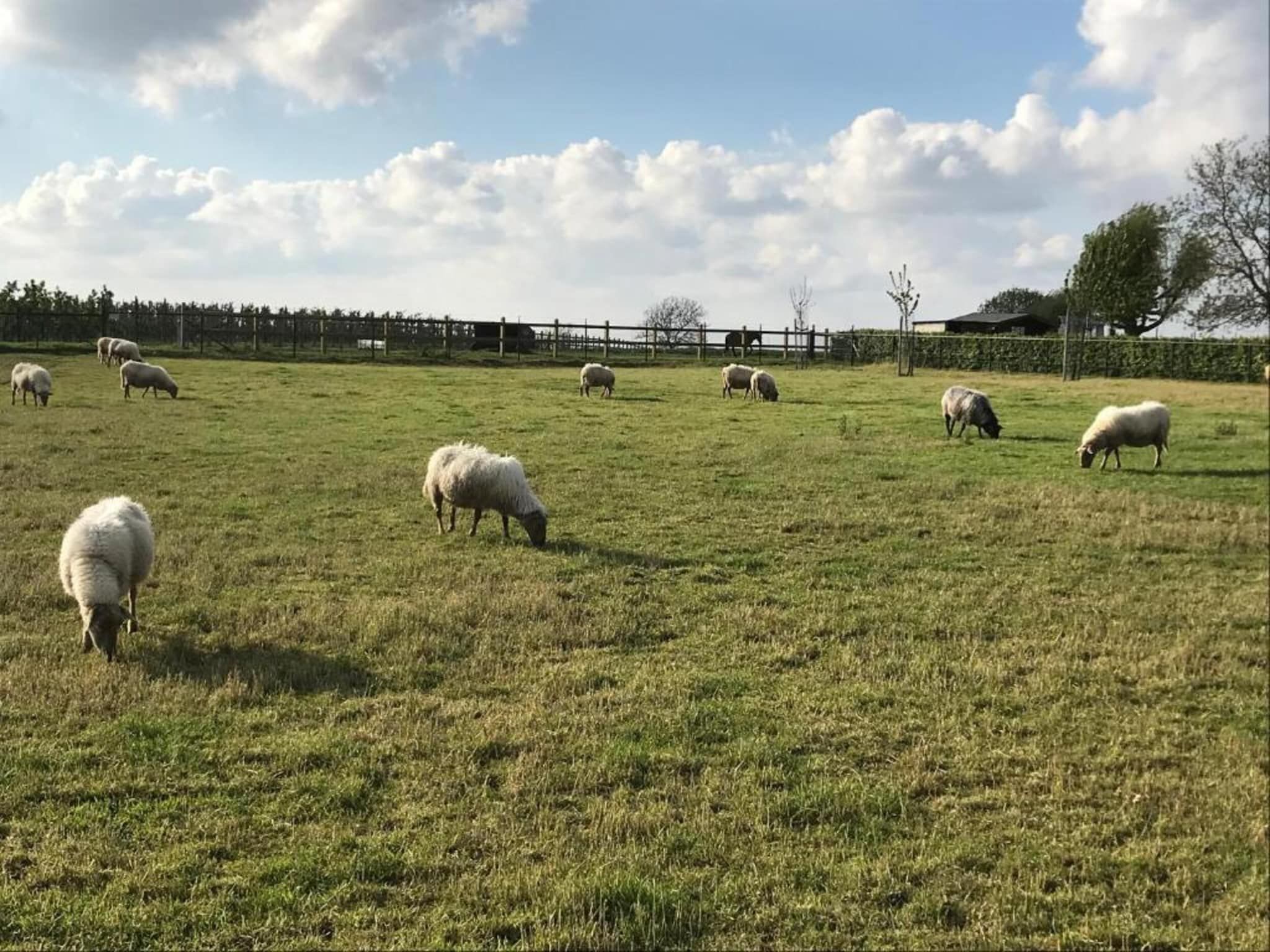Herenhoeve de Bockhof in Schimmert - Foto 36 van 40
