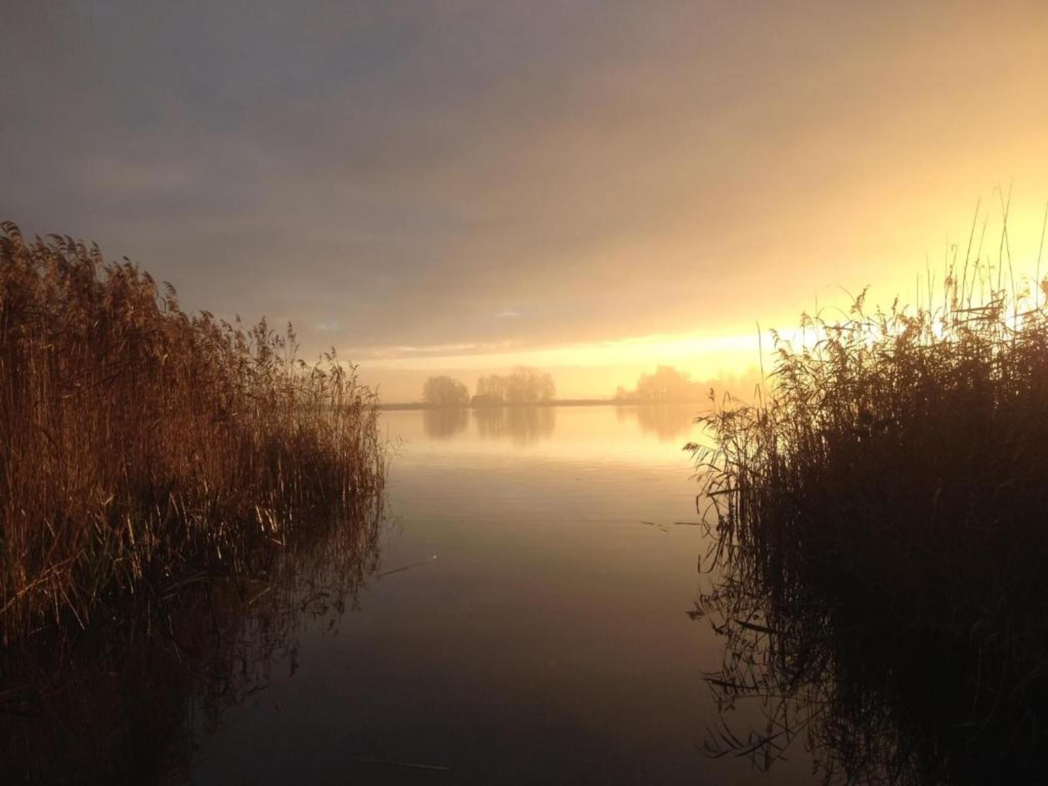 De omgeving van Vakantiepark Giethoorn 10 in Giethoorn