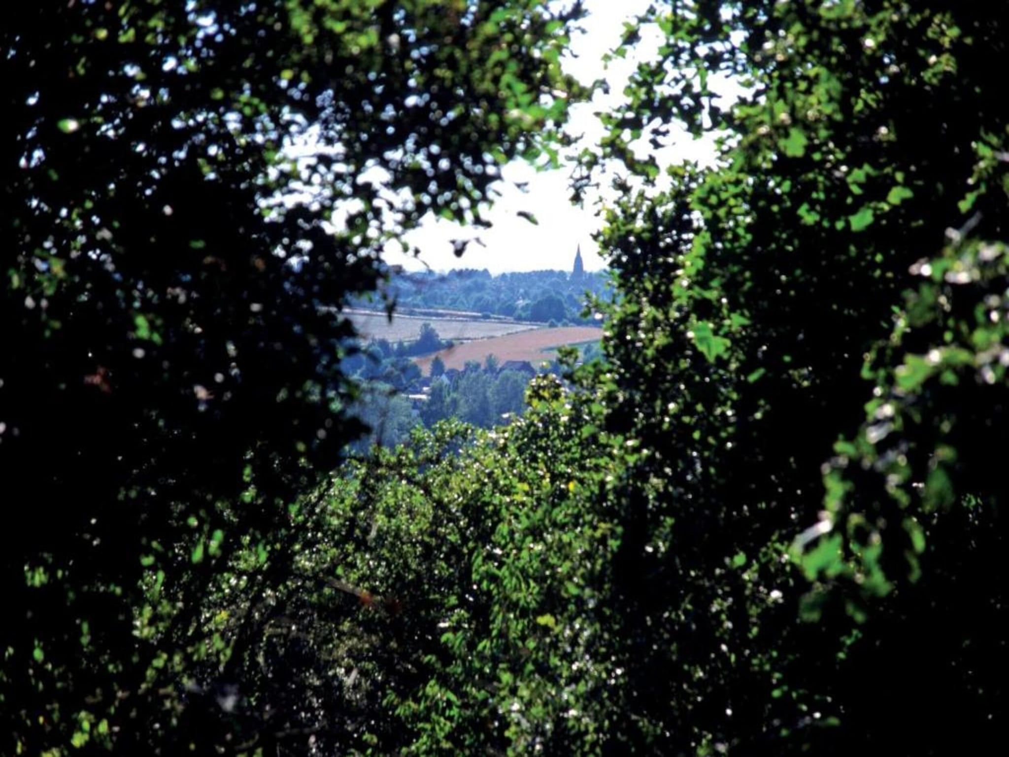 Vakantiepark Klein Vink 9 in Arcen - Foto 36 van 40