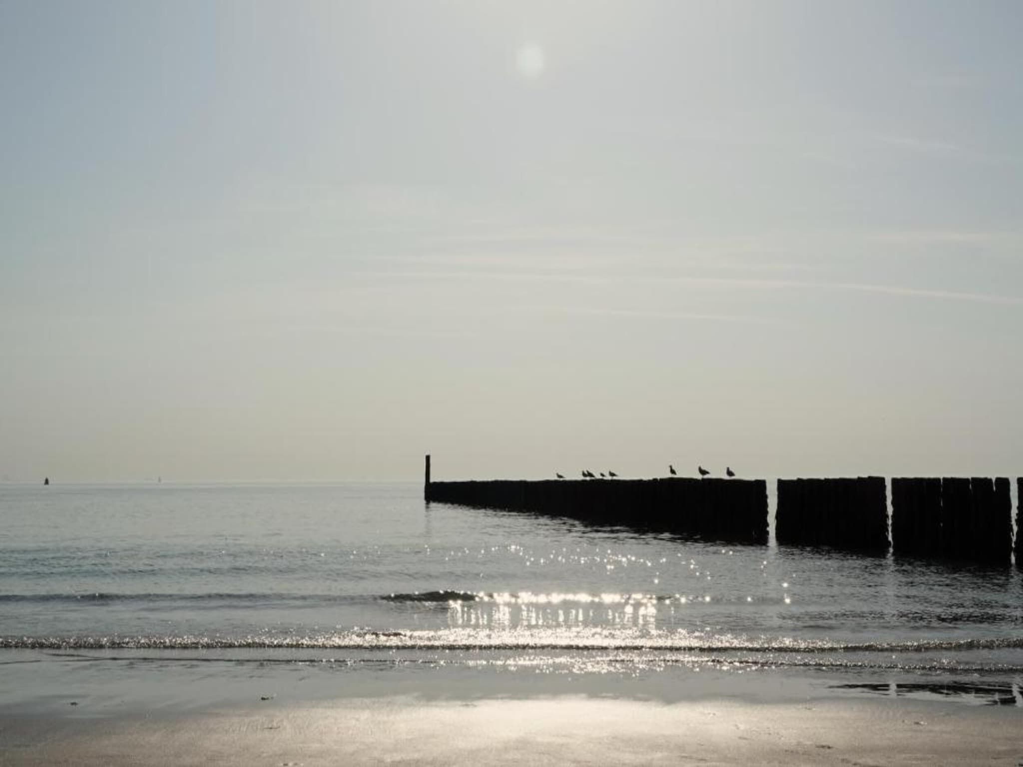 Vakantiepark Hof van Zeeland  8 in Heinkenszand - Foto 38 van 40