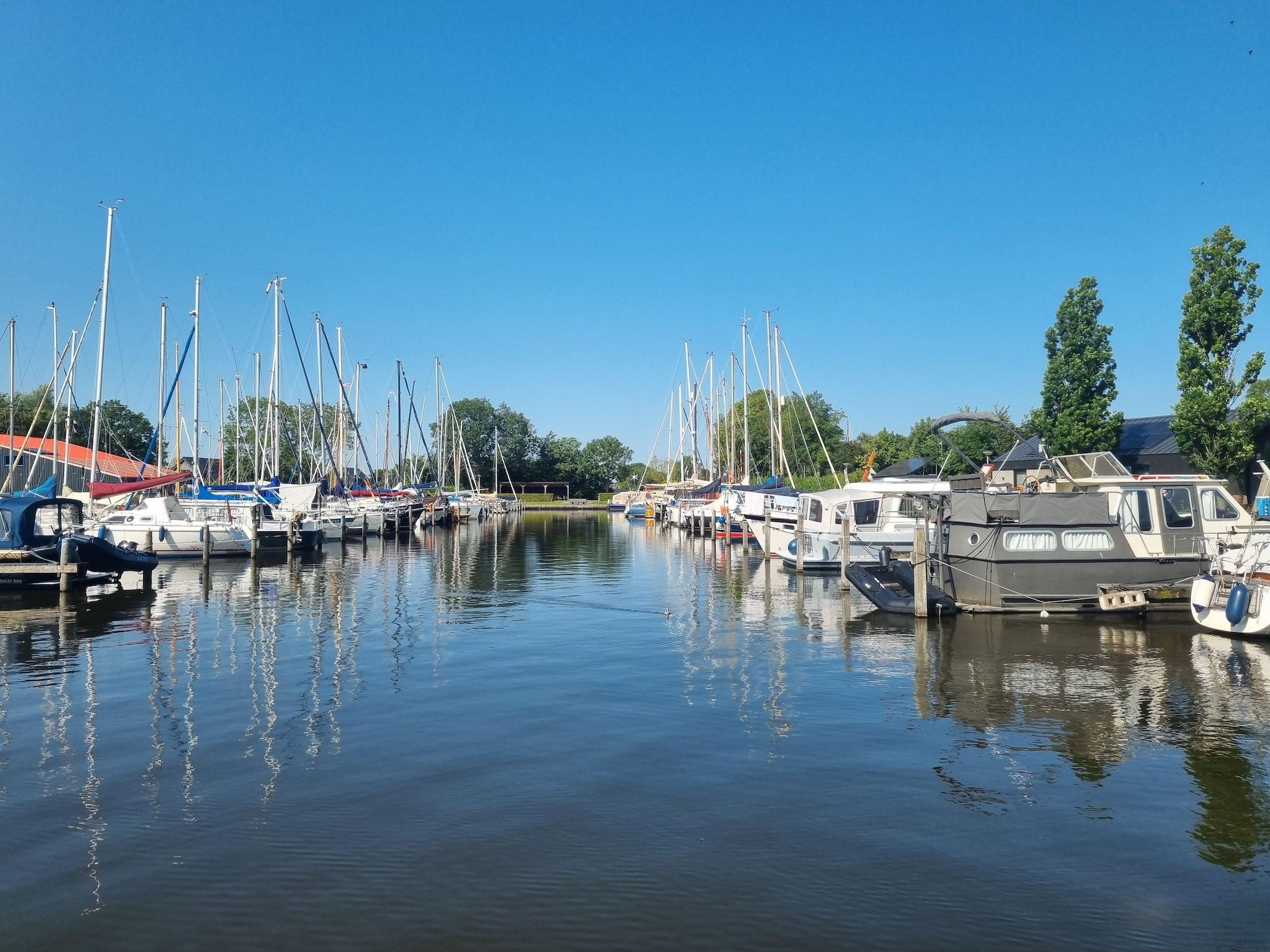 De omgeving van Watervilla Tweintich in Balk