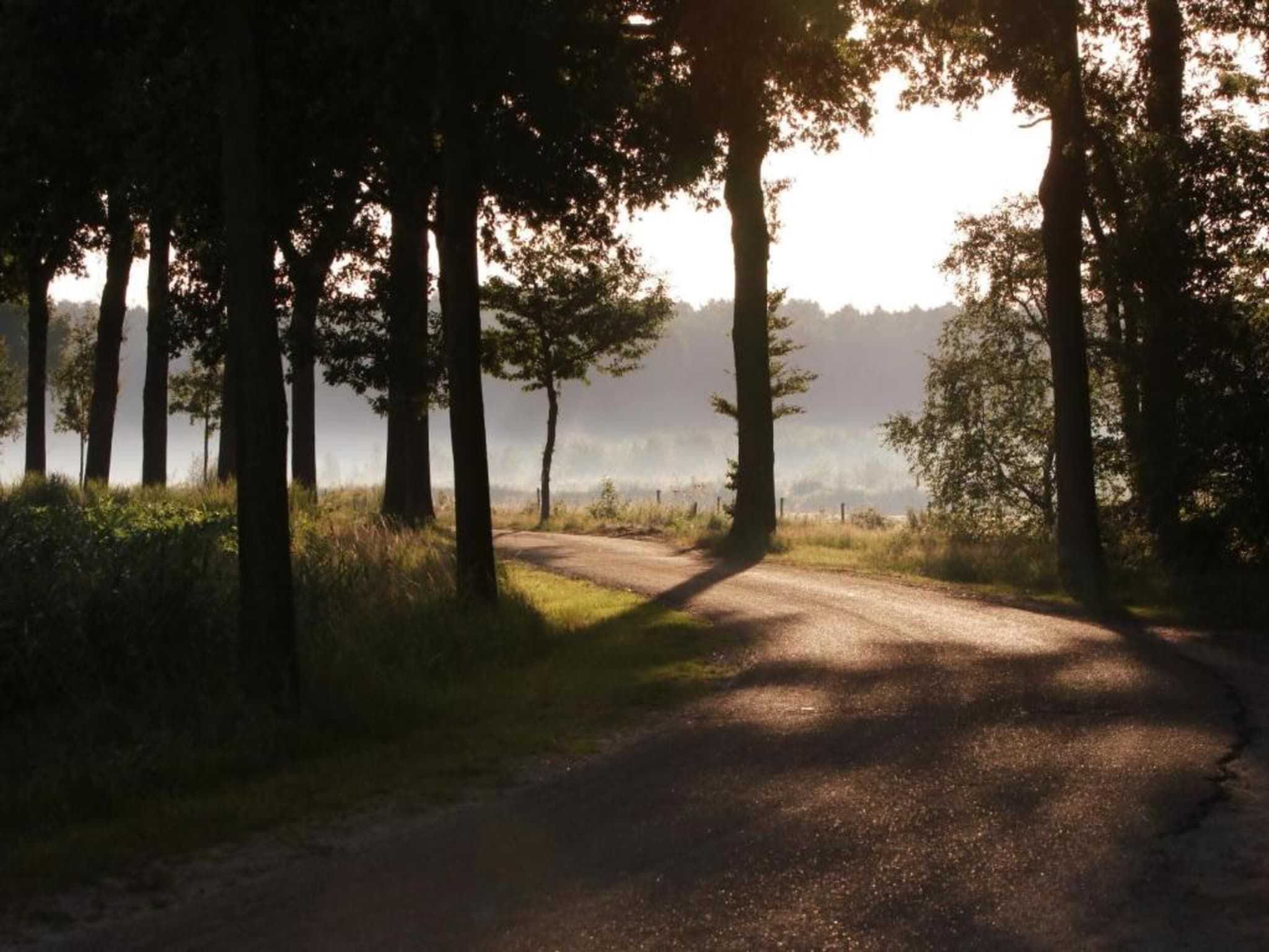De omgeving van Bospark 't Wolfsven 17 in Mierlo