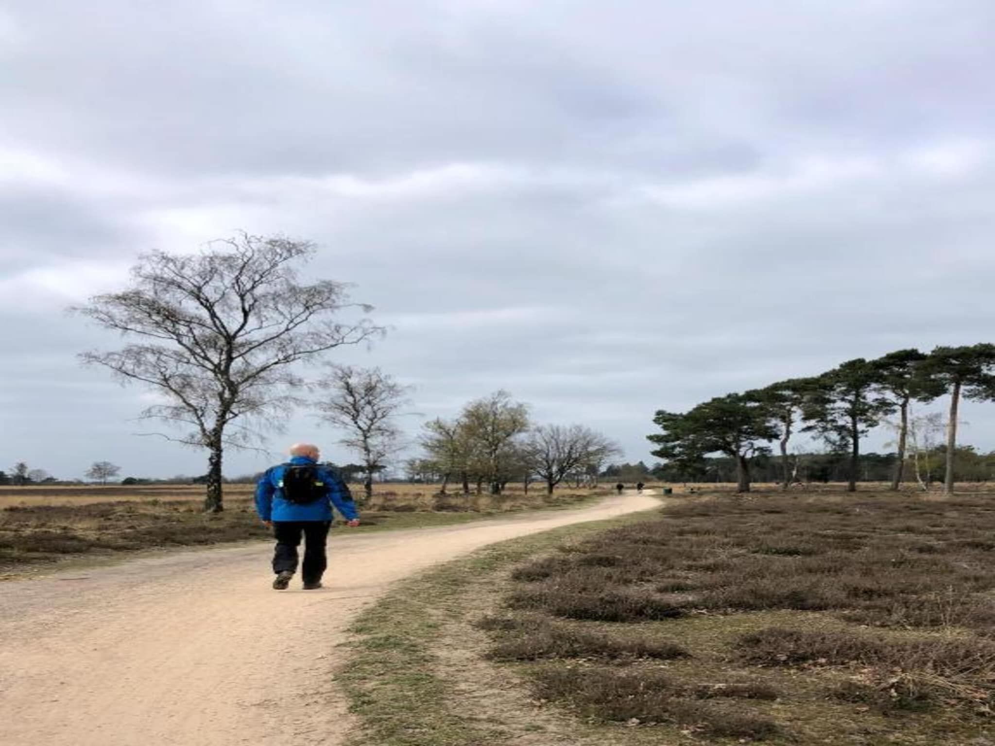 De omgeving van Bospark 't Wolfsven 17 in Mierlo