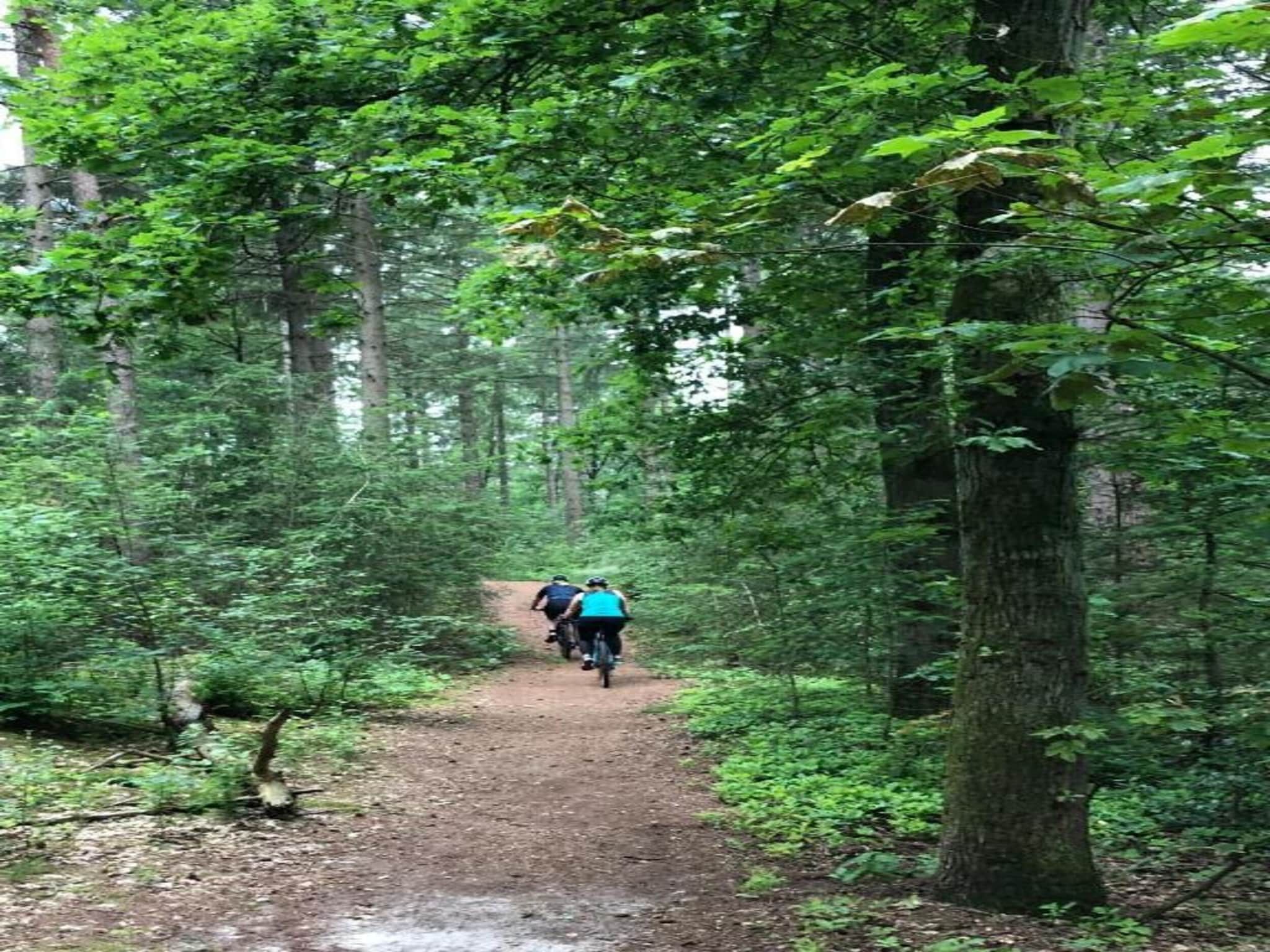 De omgeving van Bospark 't Wolfsven 17 in Mierlo