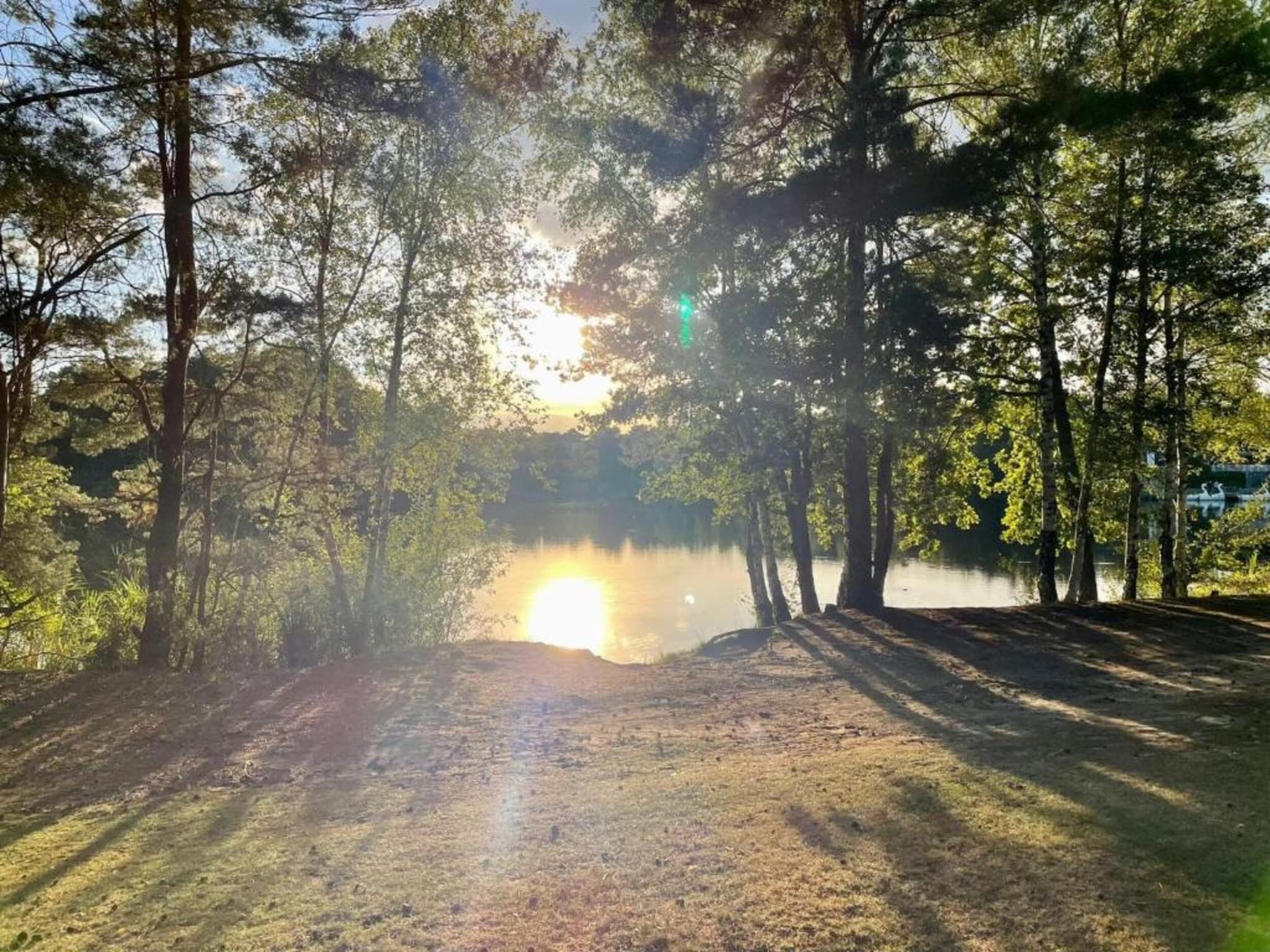 De omgeving van Bospark 't Wolfsven 17 in Mierlo