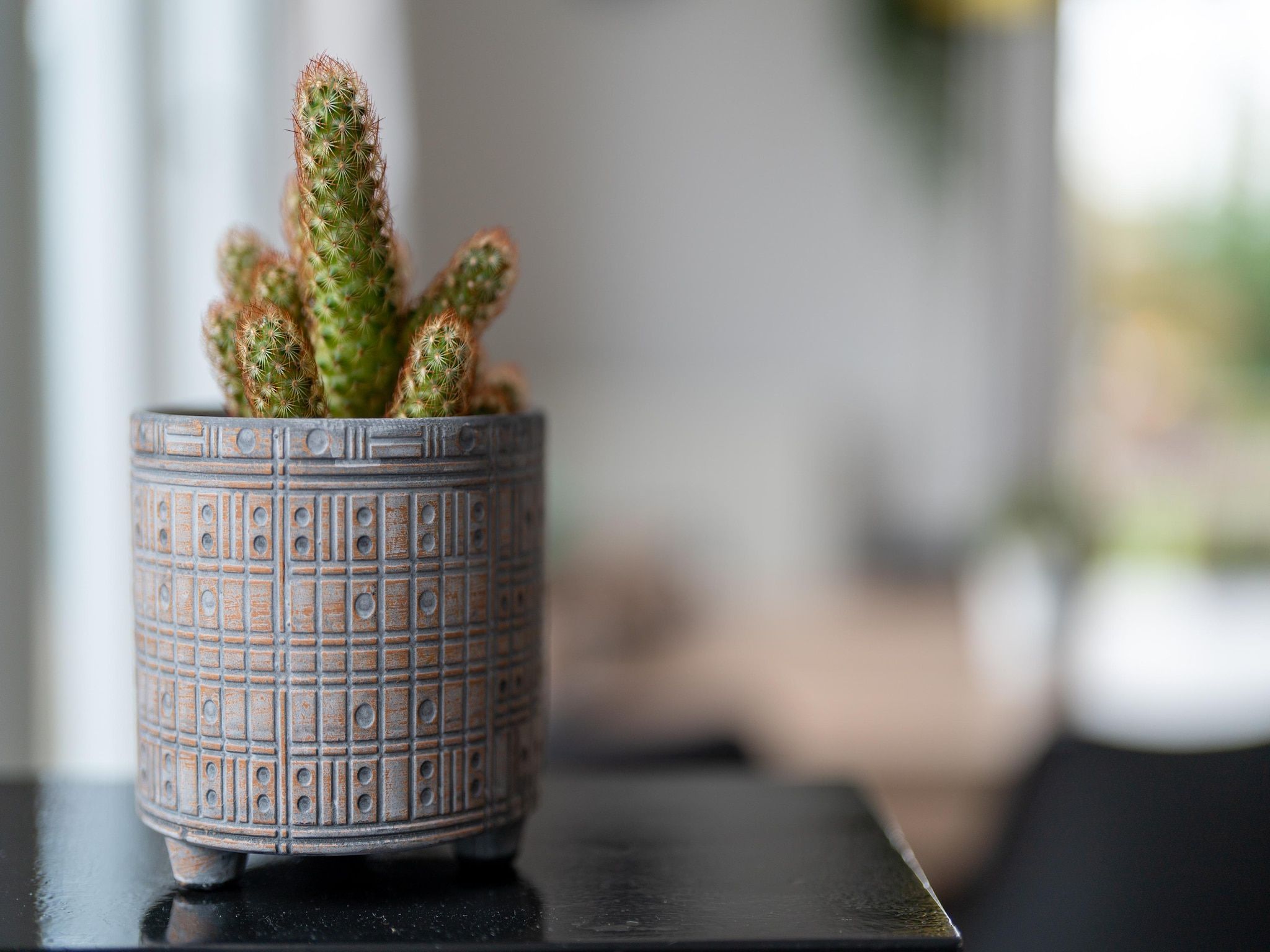 Sfeerbeeld van Scheldeoord 70 in Baarland