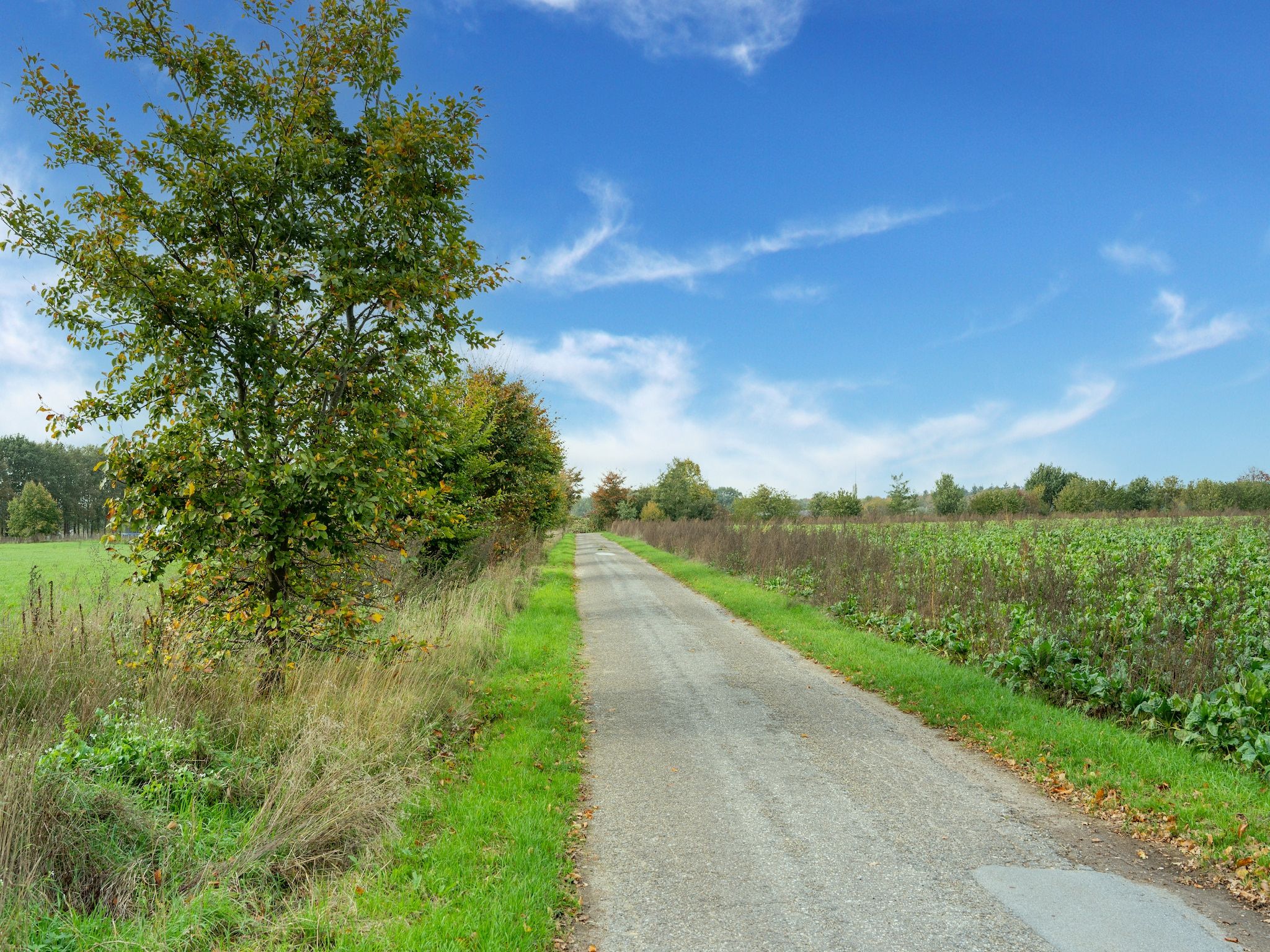 De omgeving van Genieten in Silvolde II in Silvolde