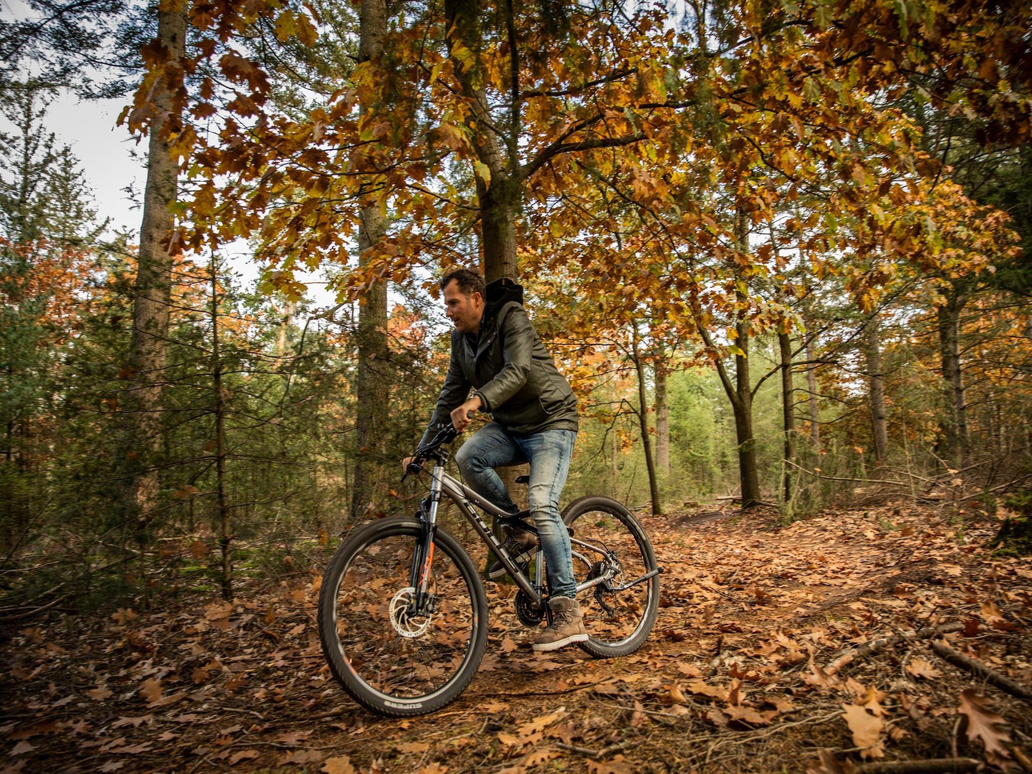 Sfeerbeeld van Vakantiepark De Heihorsten 8 in Someren