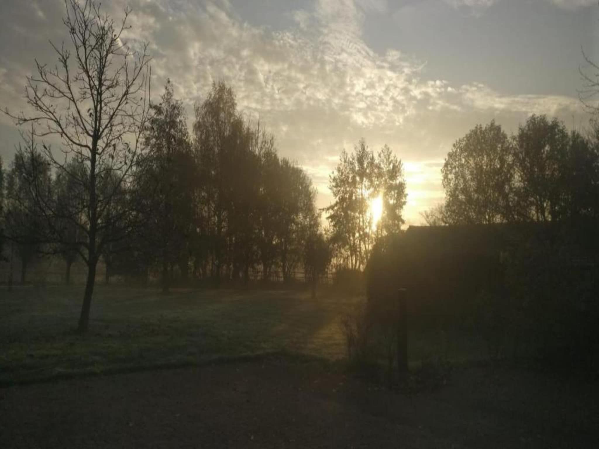 De omgeving van Vakantiepark De Heihorsten 8 in Someren