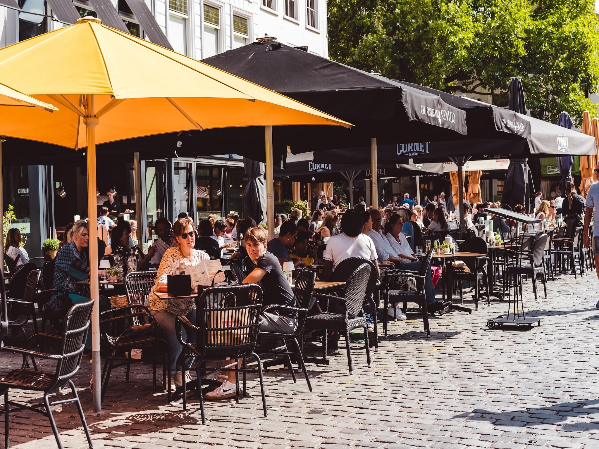 De omgeving van Vakantiepark De Heihorsten 10 in Someren