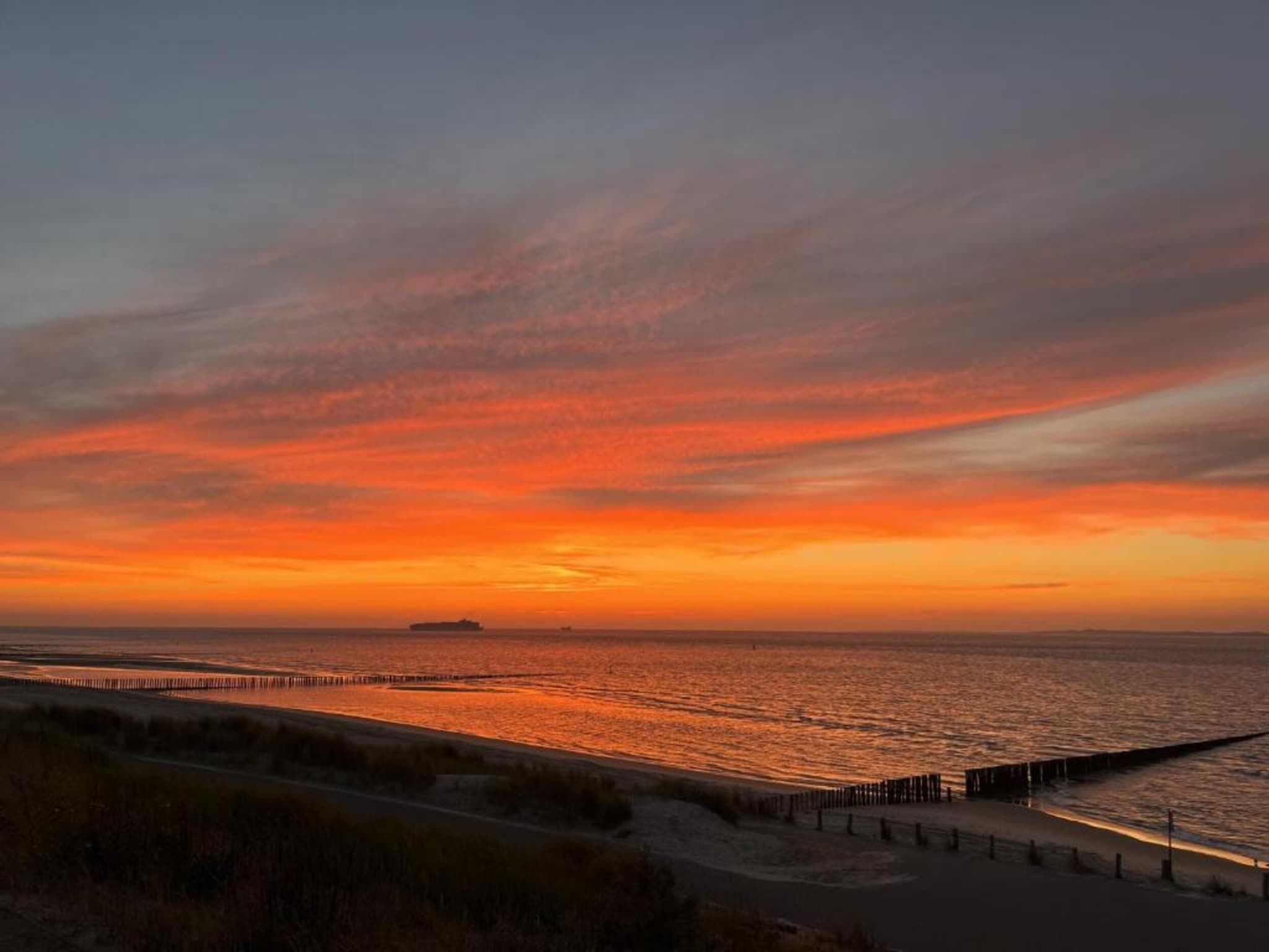 De omgeving van Vakantiepark Zeebad 19 in Breskens