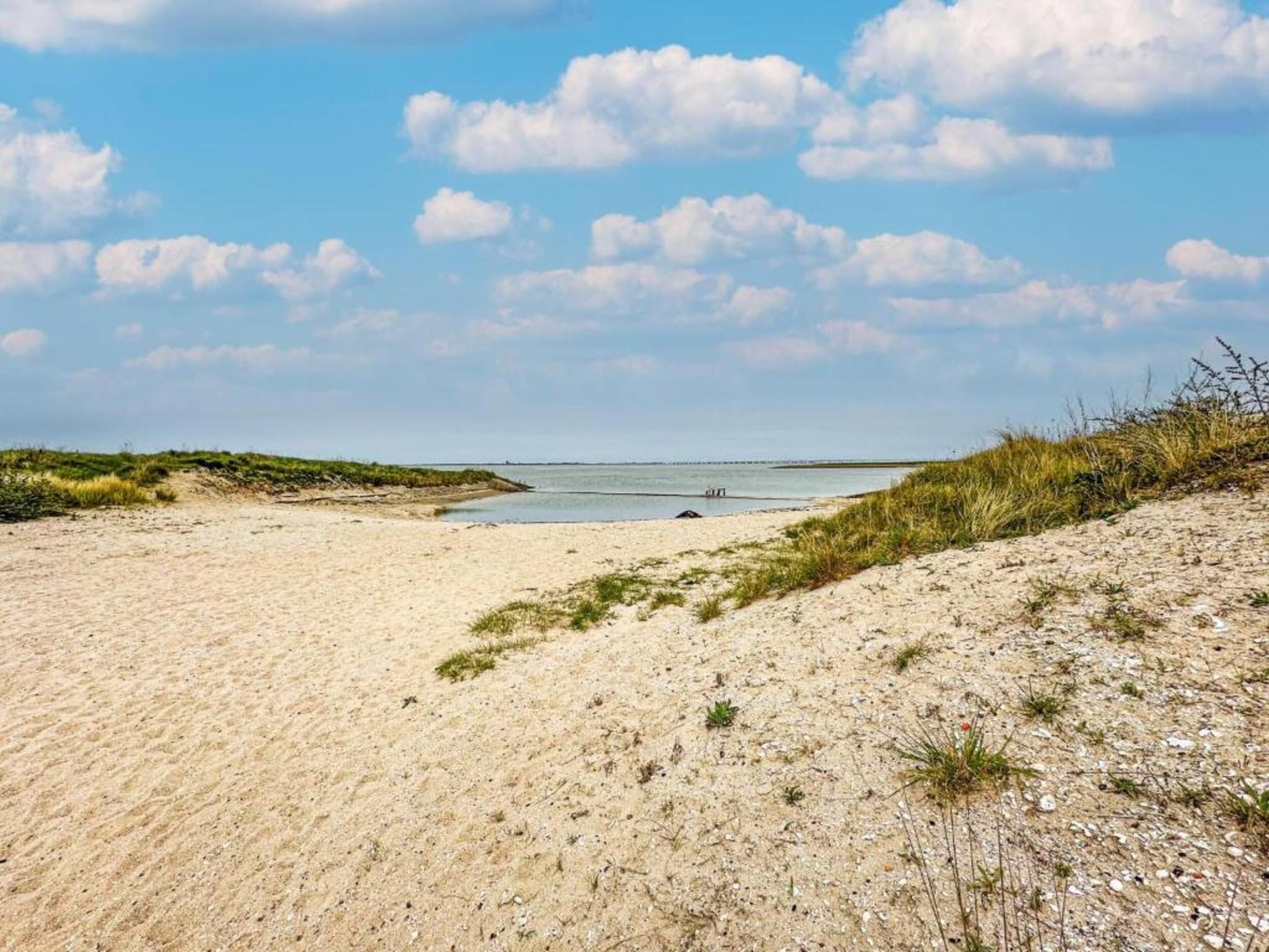 De omgeving van Zeeuwse Pracht 8 p welness in Colijnsplaat