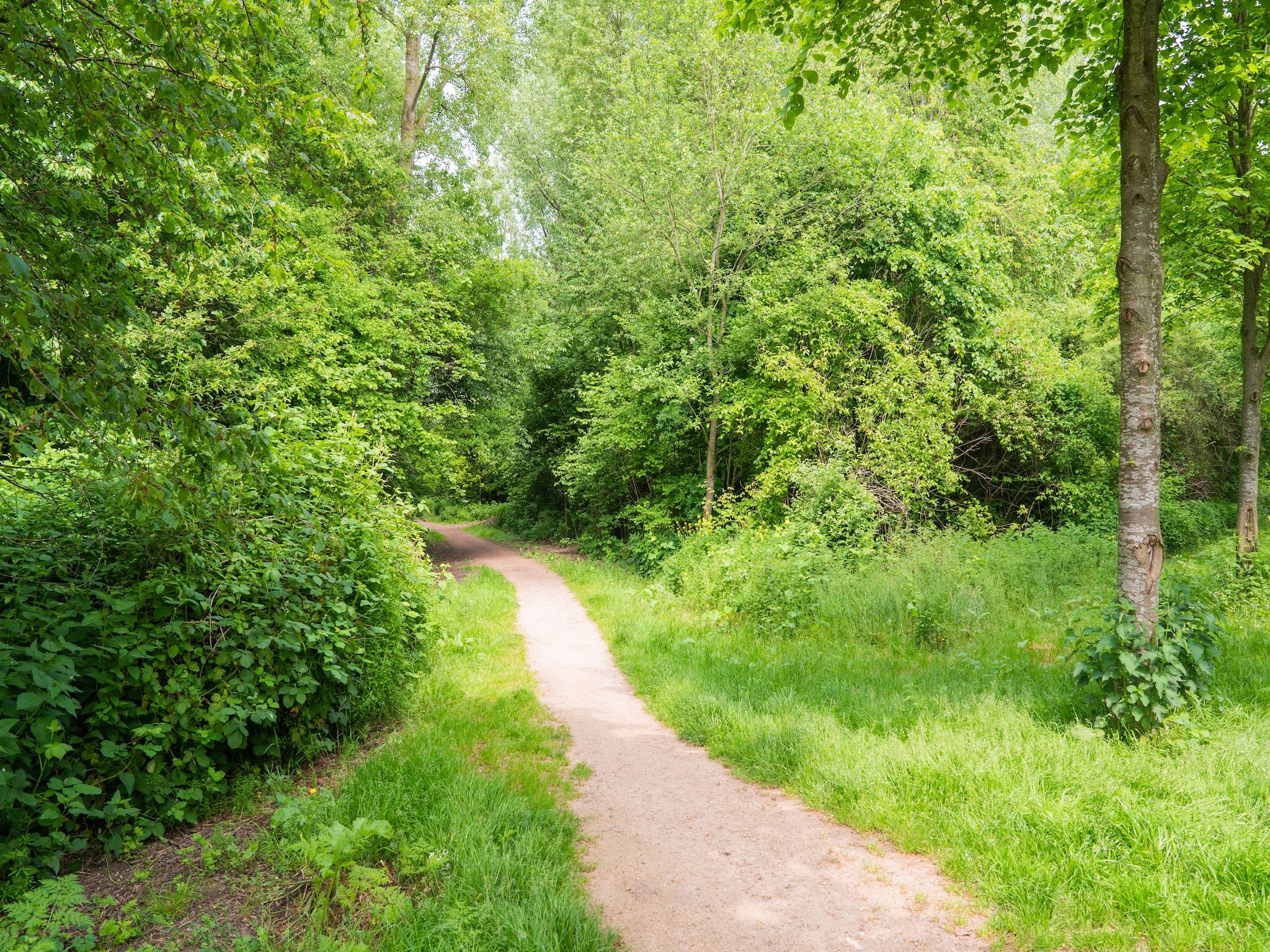 The Old Farmhouse in Montfoort - Foto 37 van 40