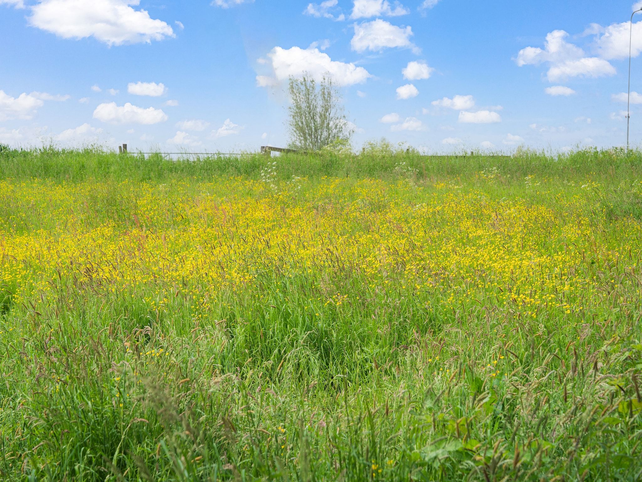 De omgeving van The Old Farmhouse in Montfoort