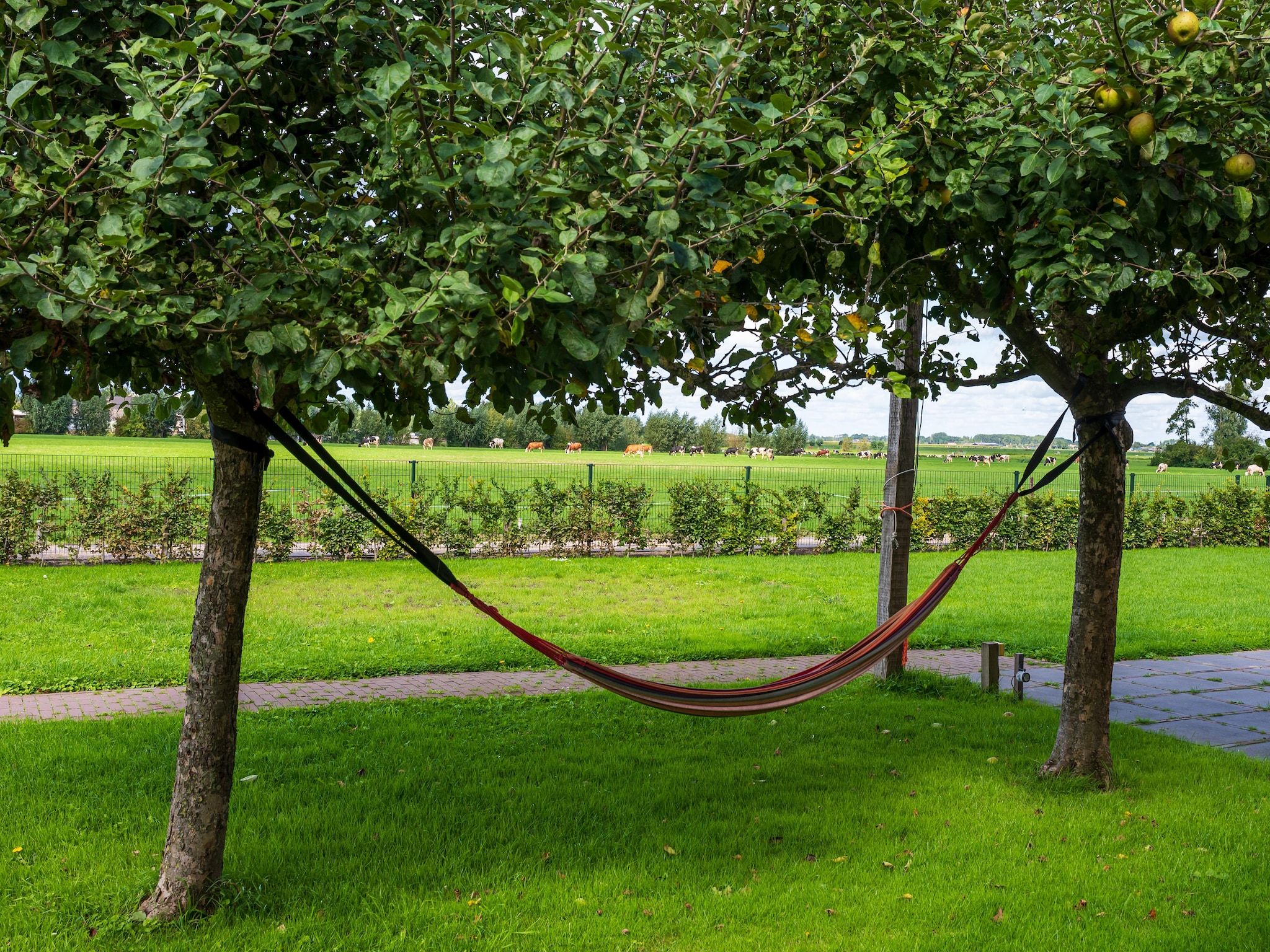 De tuin van The Old Farmhouse in Montfoort