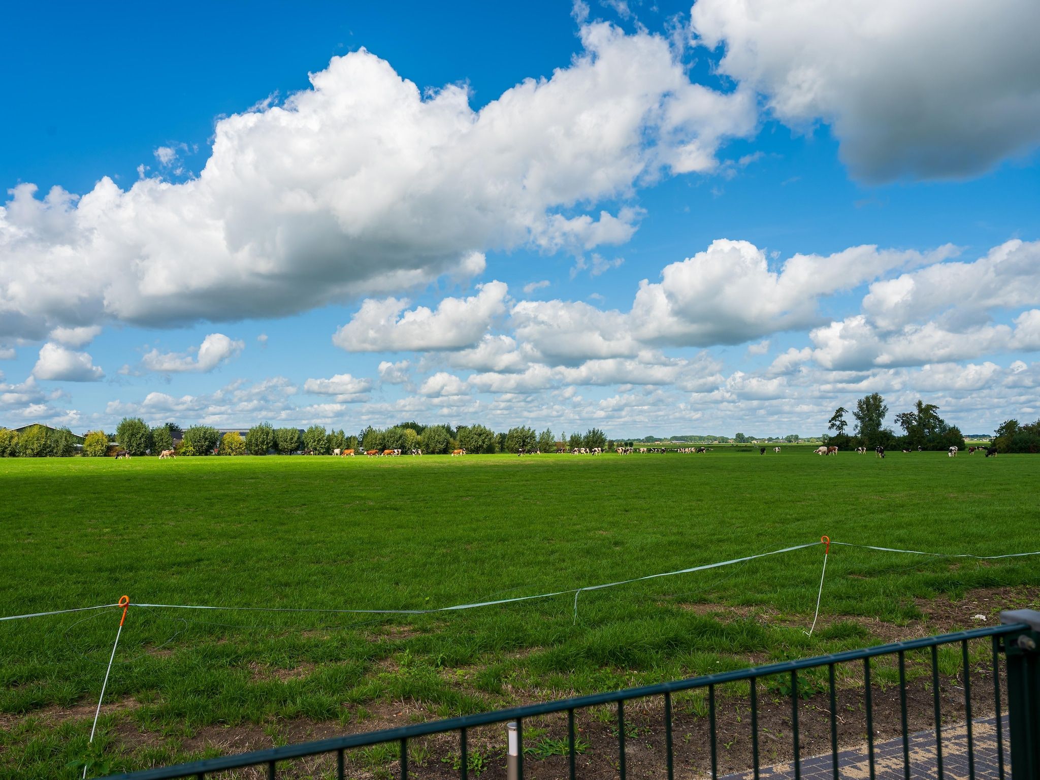 De tuin van The Old Farmhouse in Montfoort