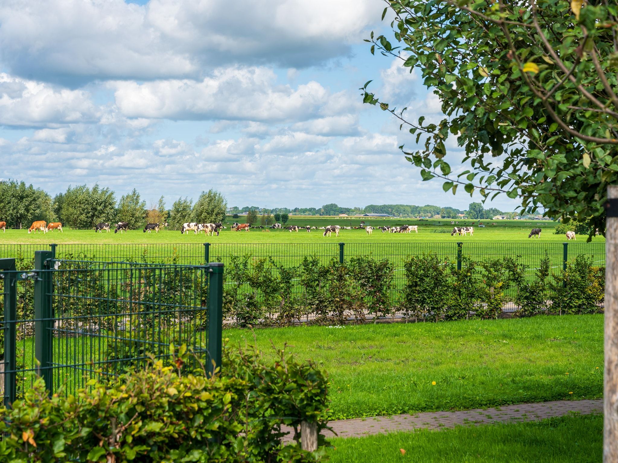 De tuin van The Old Farmhouse in Montfoort