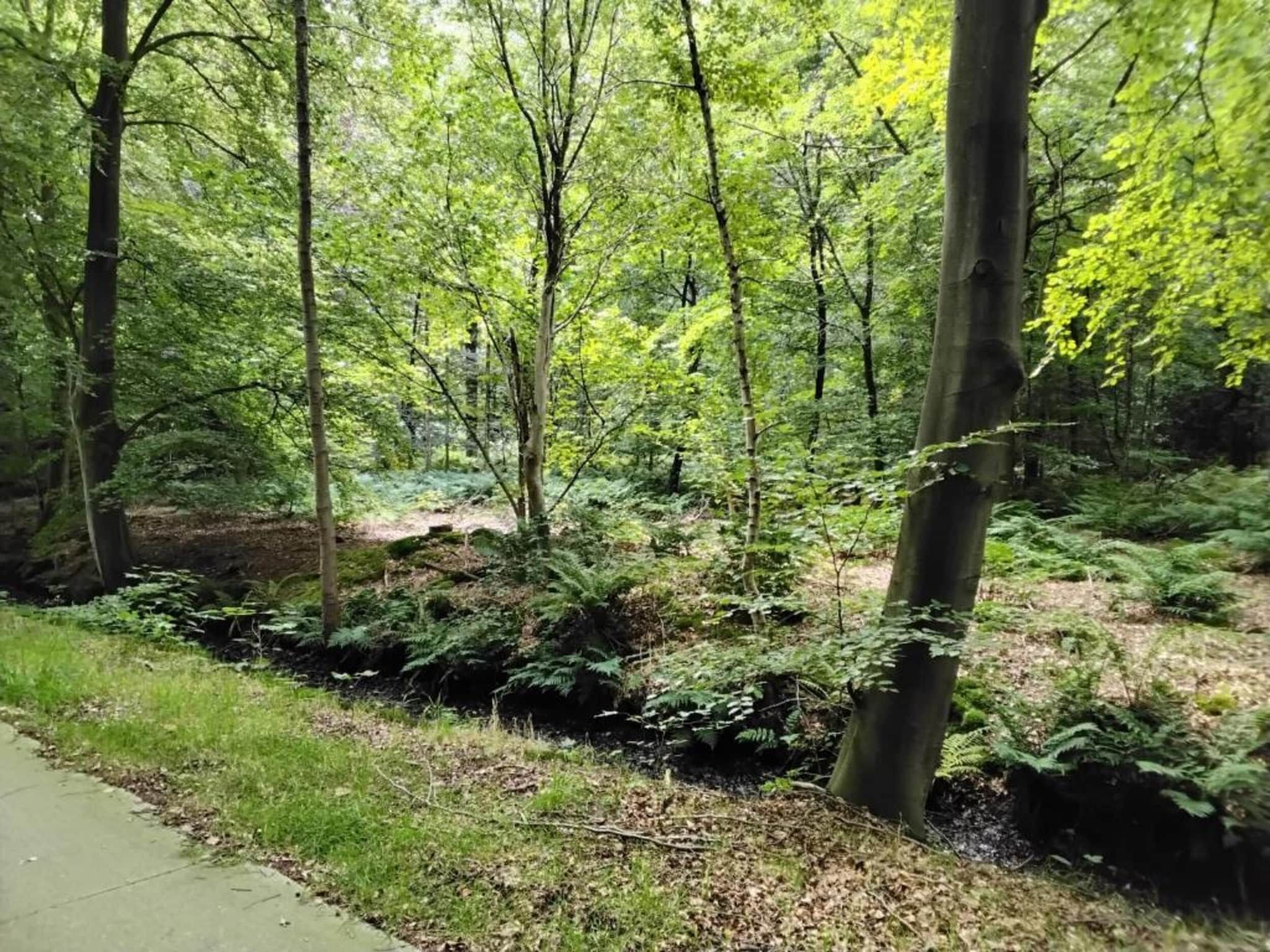 Recreatiepark Idskenhuizen 9 in Idskenhuizen - Foto 26 van 40