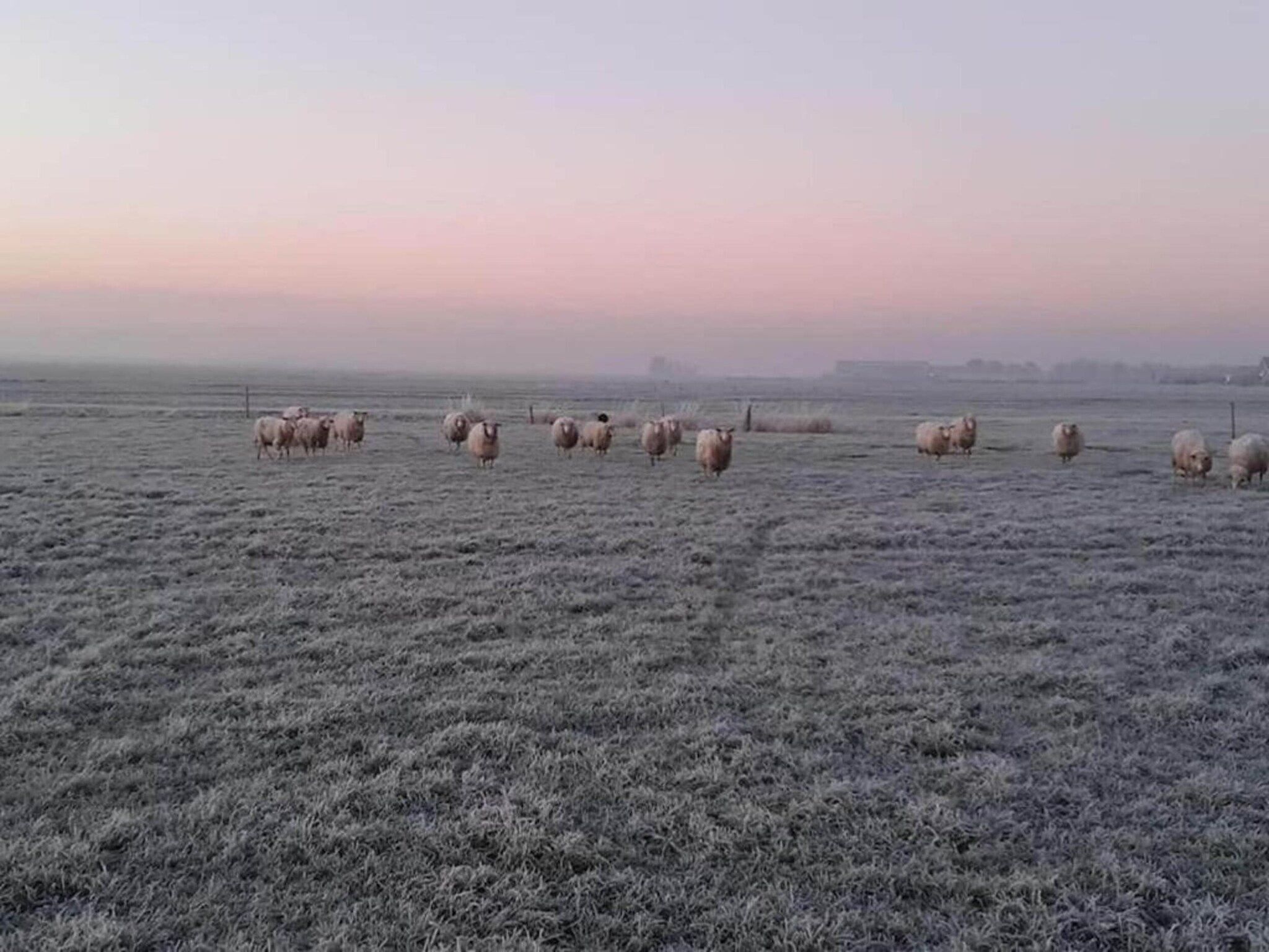 Recreatiepark Idskenhuizen 9 in Idskenhuizen - Foto 31 van 40