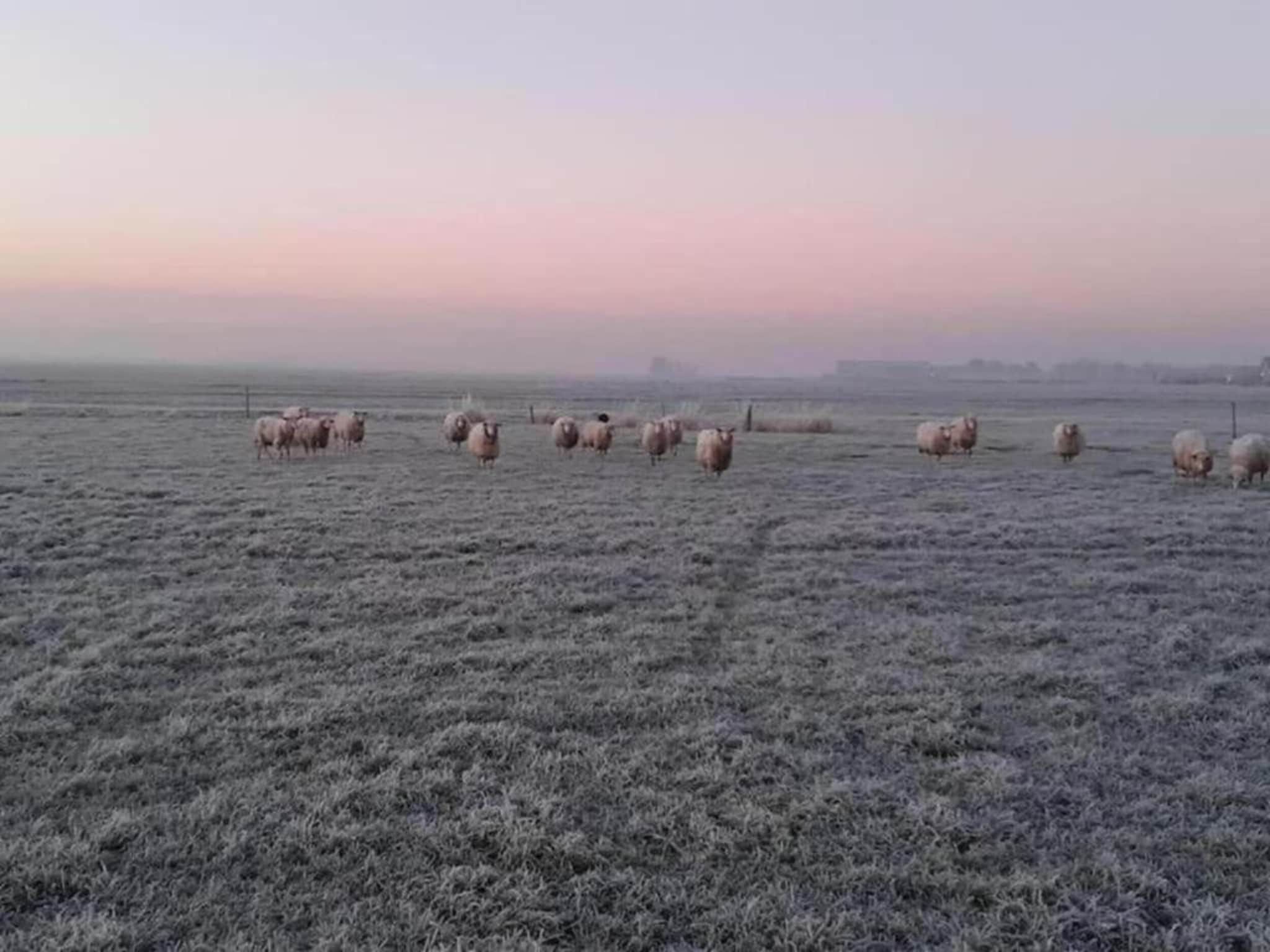 Landgoed Eysinga State 7 in Sint Nicolaasga - Foto 38 van 40