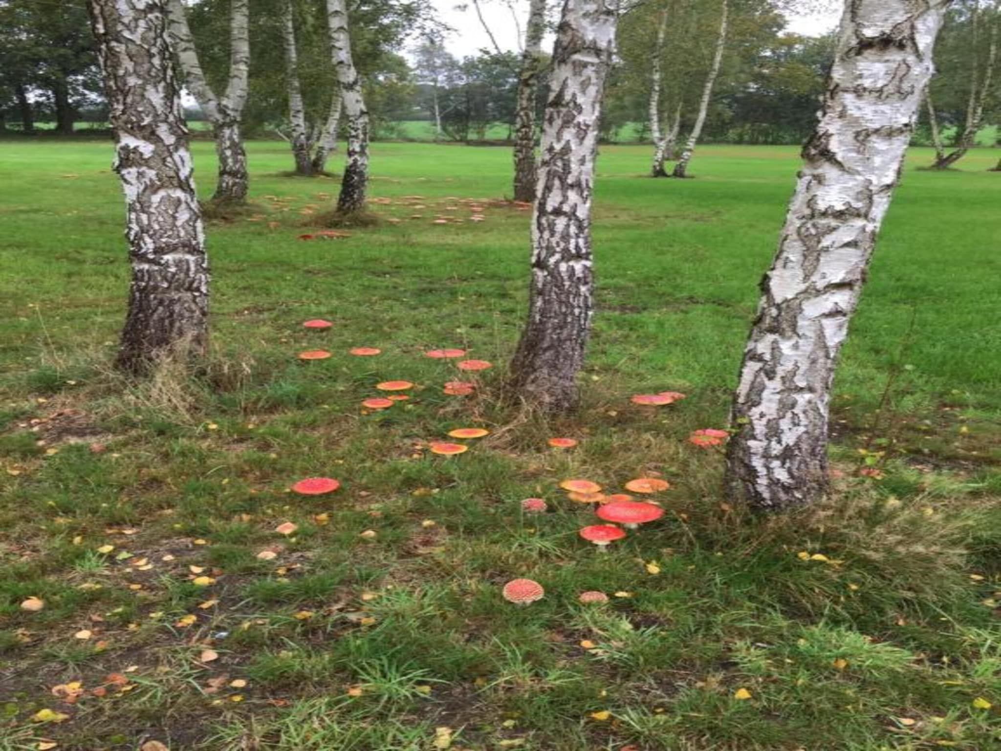 Acker Lodges 2 in Ruinerwold - Foto 38 van 40