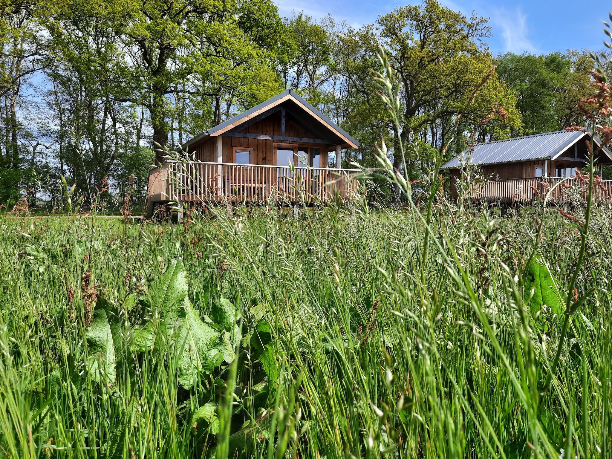 De buitenkant van Acker Lodges 3 in Ruinerwold