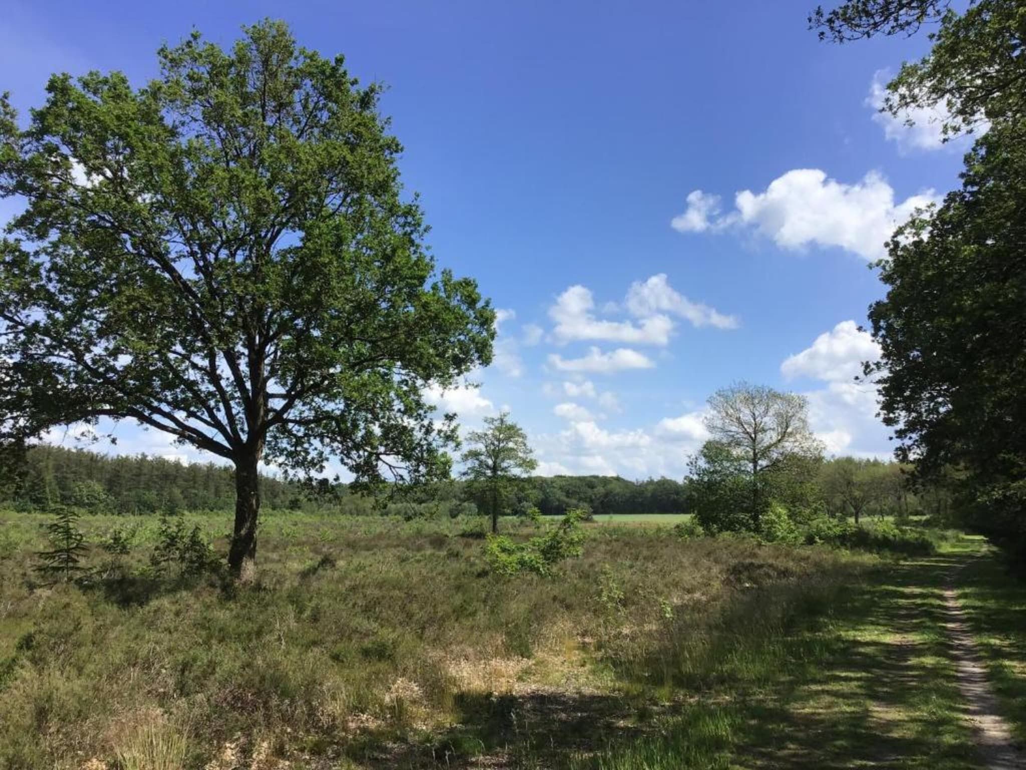 Acker Lodges 3 in Ruinerwold - Foto 32 van 40