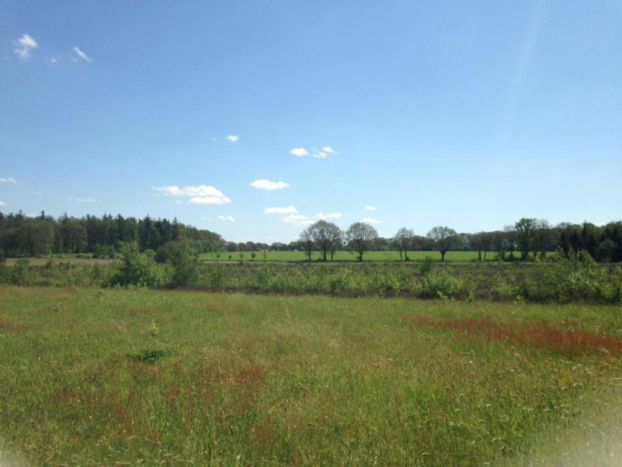 Acker Lodges 3 in Ruinerwold - Foto 39 van 40