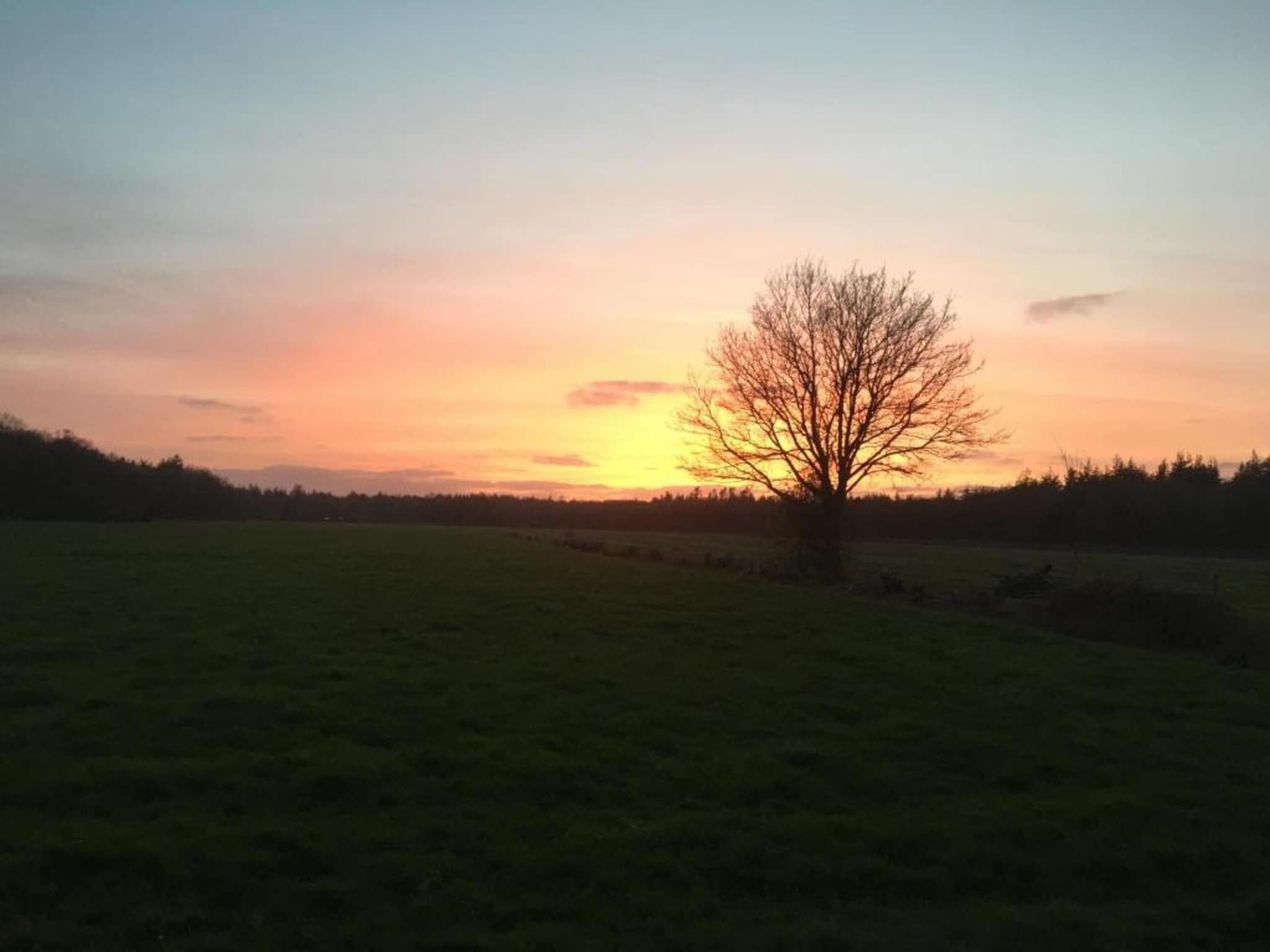 Friese Meren Villa's 22 in Delfstrahuizen - Foto 26 van 41