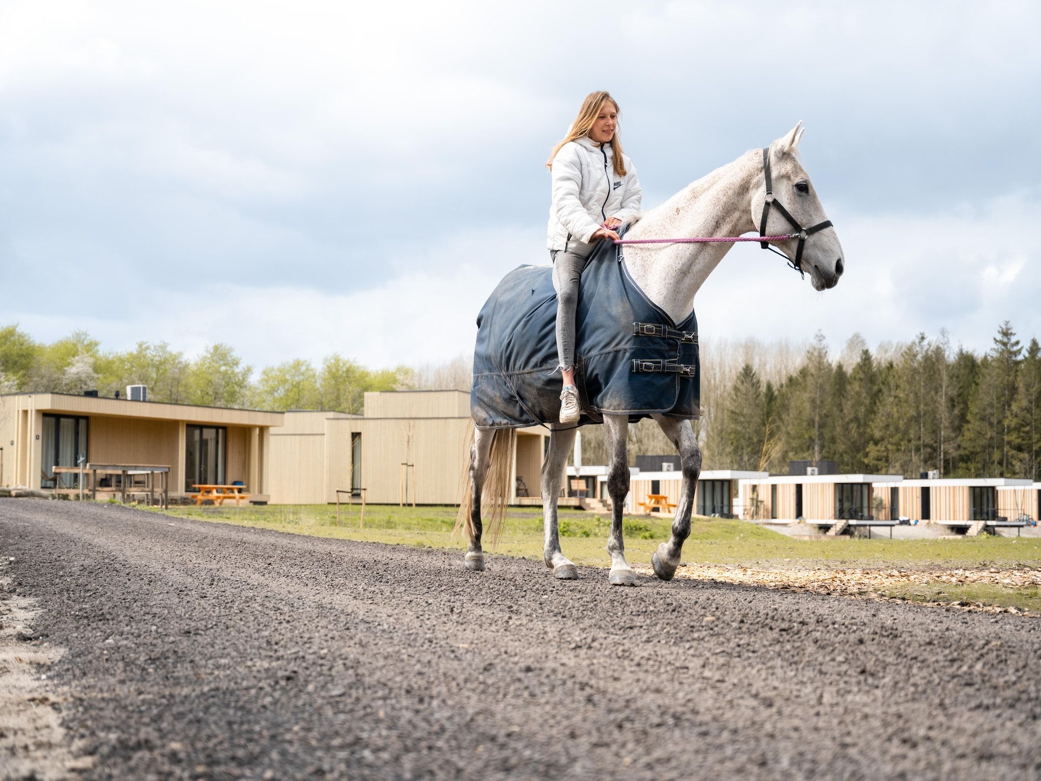 Parkfaciliteiten bij Resort de Parel 12 in Zeewolde