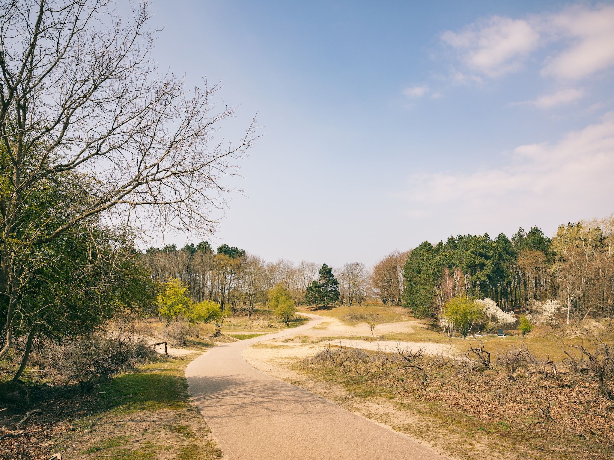 De omgeving van Duinresort Dunimar 4 in Noordwijkerhout