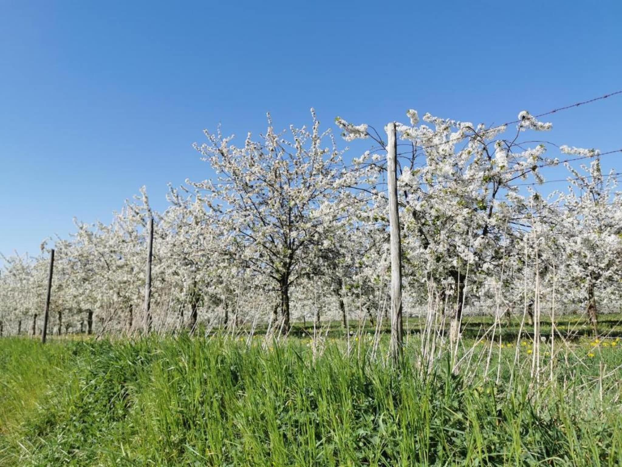 Resort Maastricht 41 in Maastricht - Foto 37 van 40