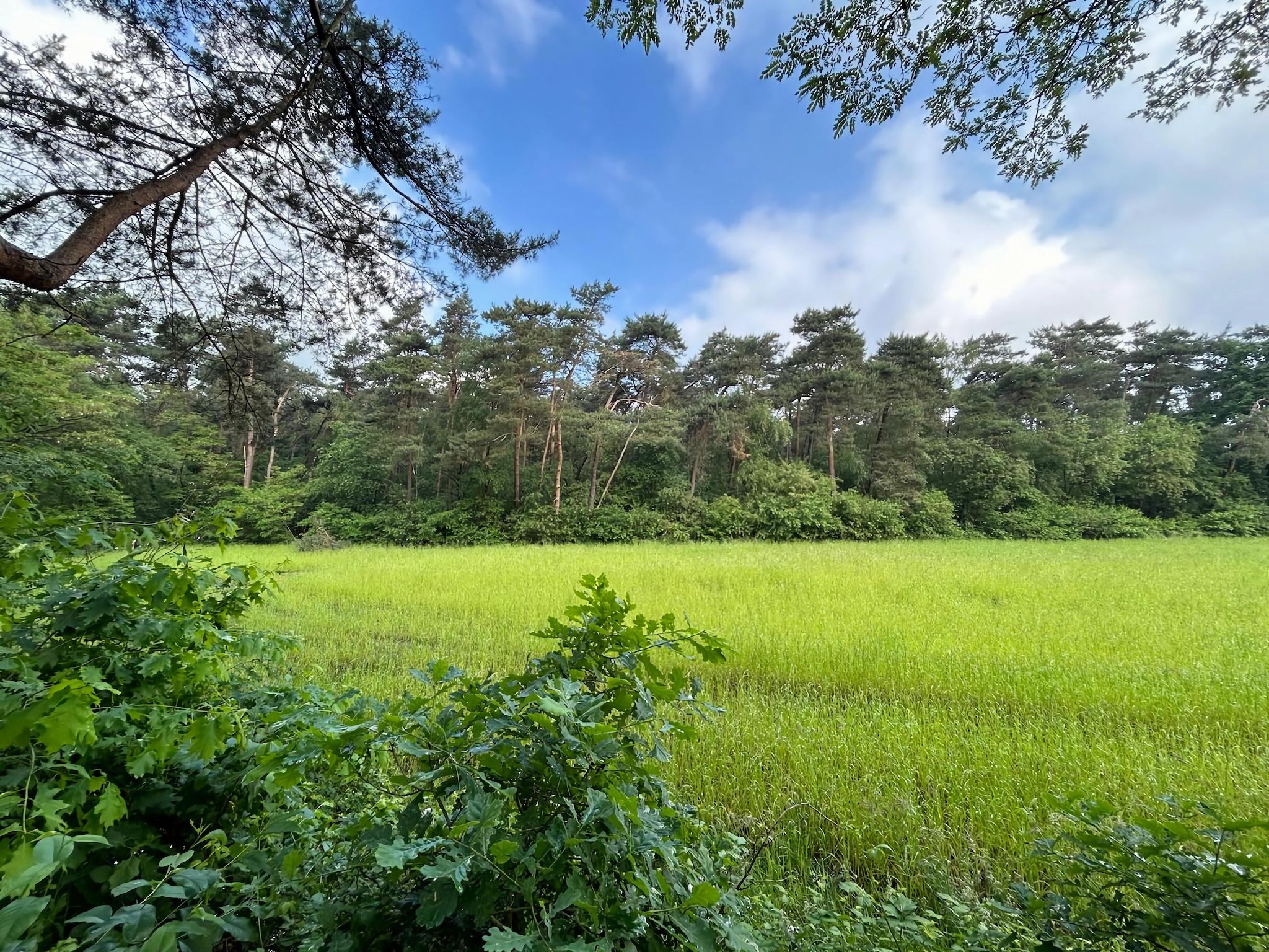 De omgeving van Duo Suite wellness in Zelhem