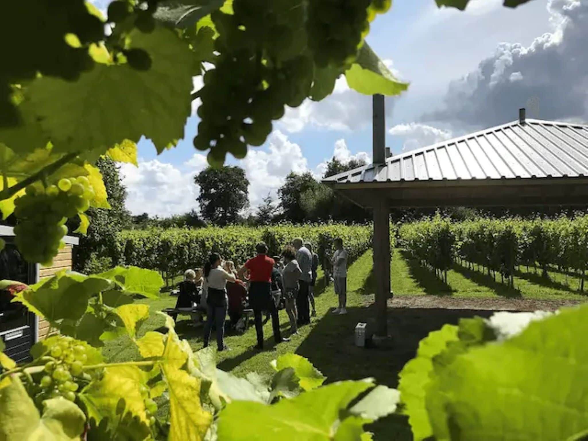 Twee safaritenten "Noflik" & "Gaadlik" naast elkaar in Twijzel - Foto 25 van 40