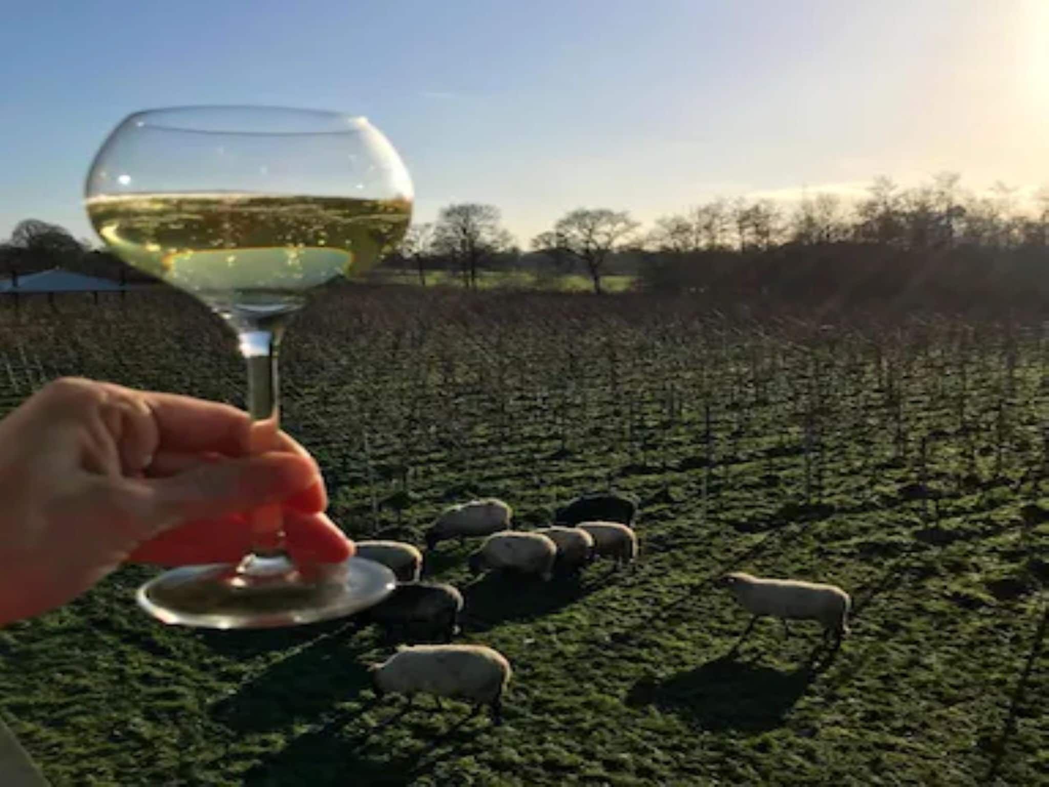 Twee safaritenten "Noflik" & "Gaadlik" naast elkaar in Twijzel - Foto 22 van 40