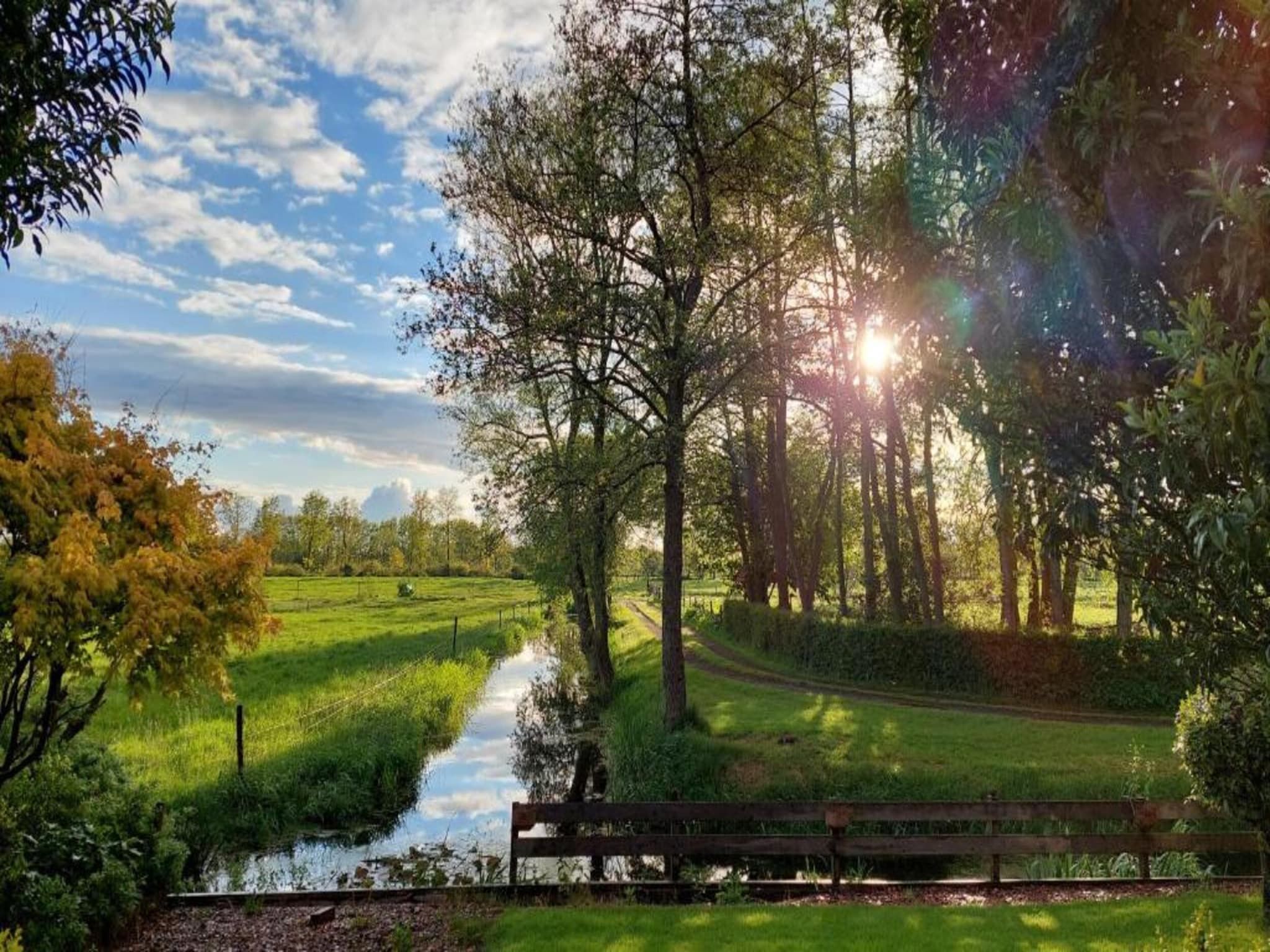 De omgeving van Twee safaritenten "Noflik" & "Gaadlik" naast elkaar in Twijzel