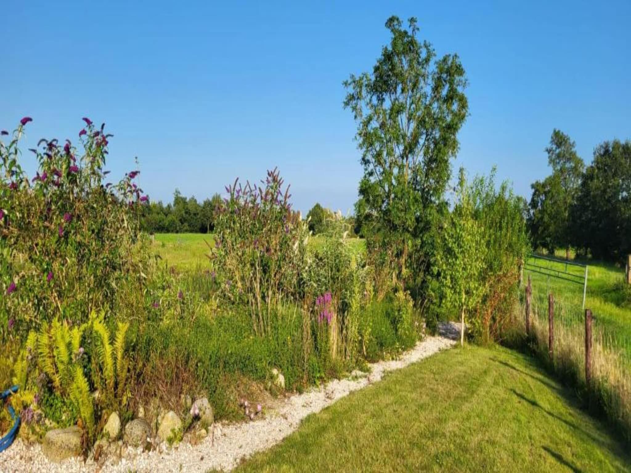 De omgeving van Twee safaritenten "Noflik" & "Gaadlik" naast elkaar in Twijzel