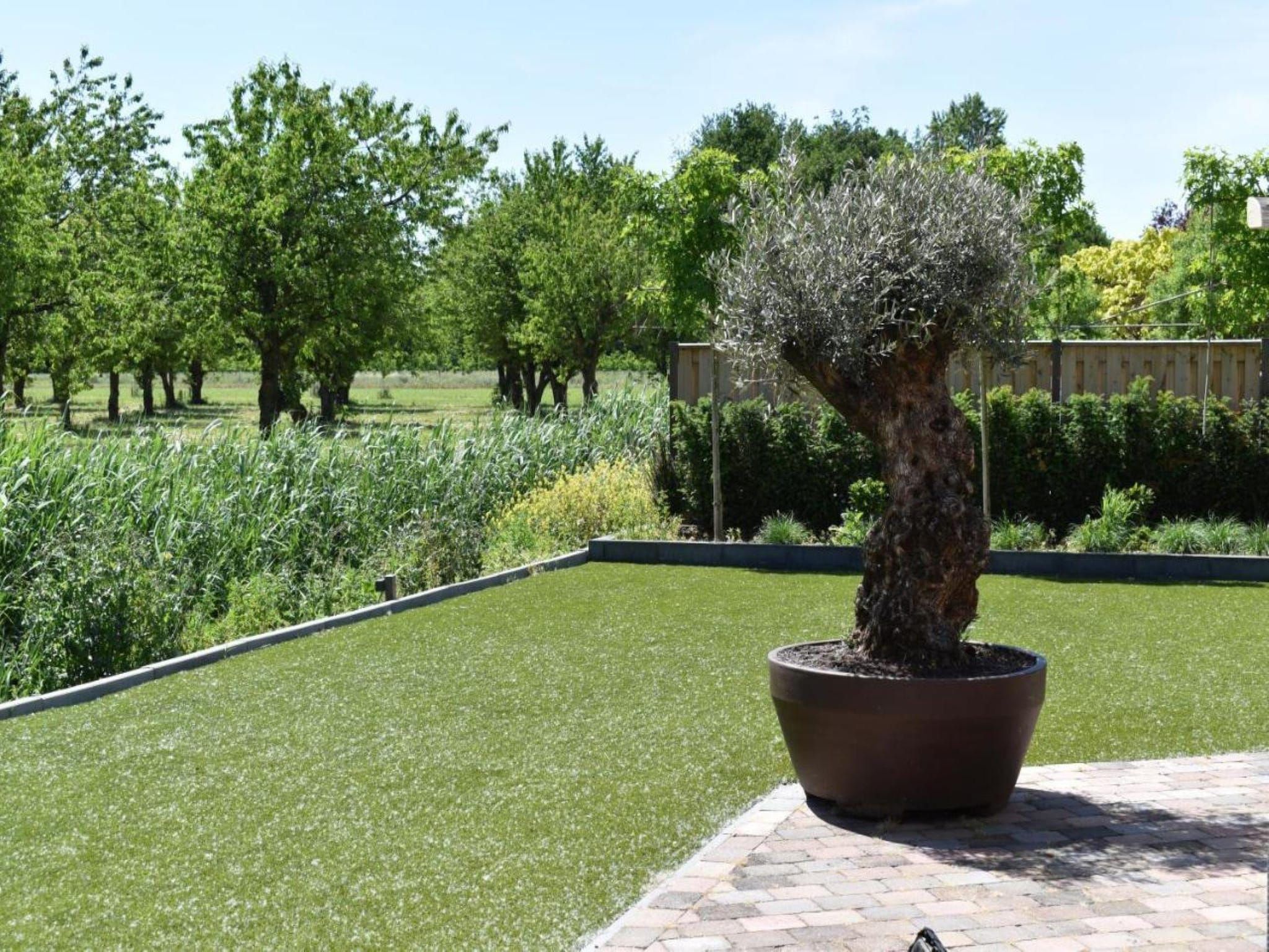 De tuin van Villa Bosrijk in Zeewolde