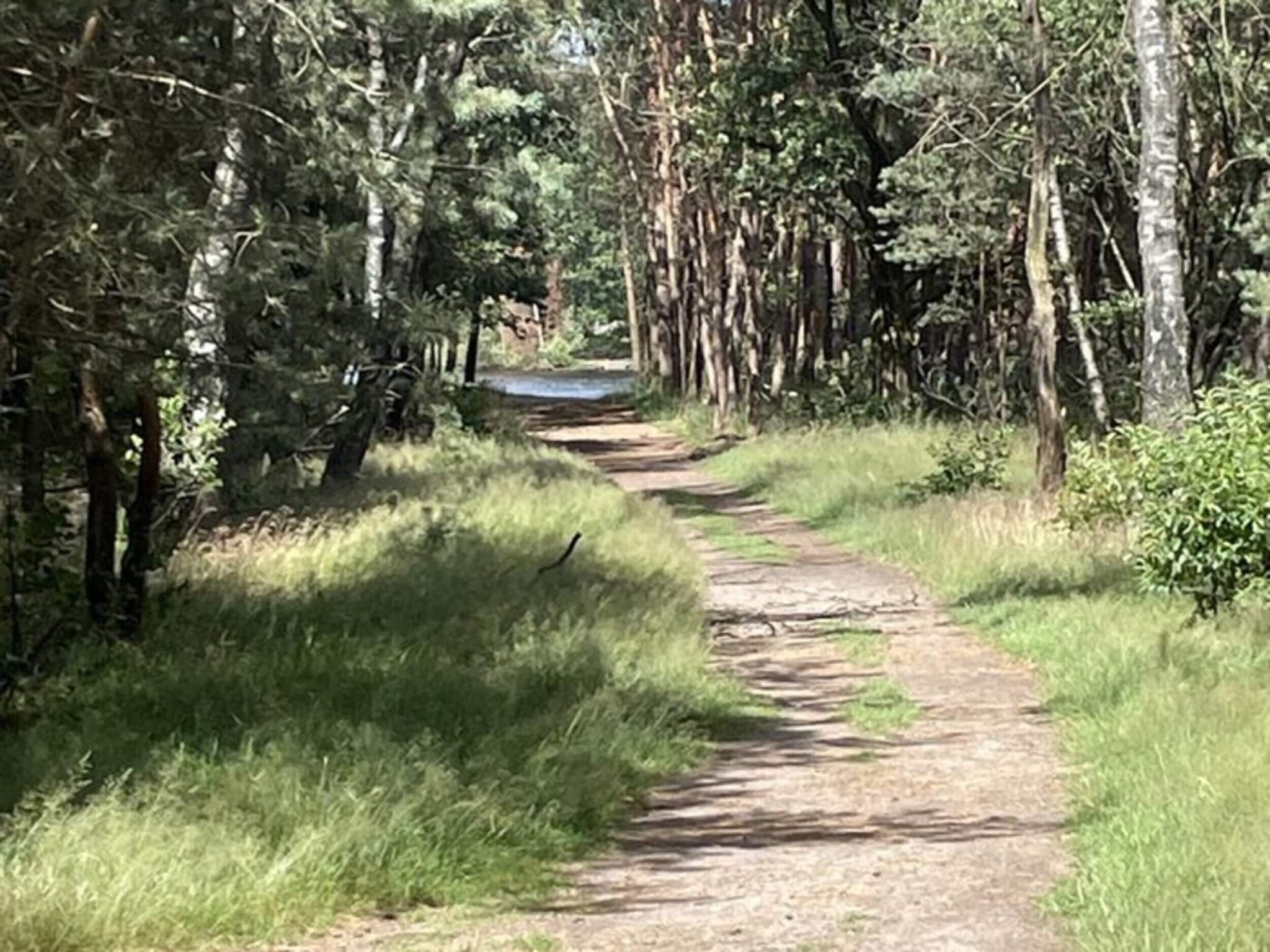 Steenpatrijs 17-06 in Voorthuizen - Foto 35 van 39