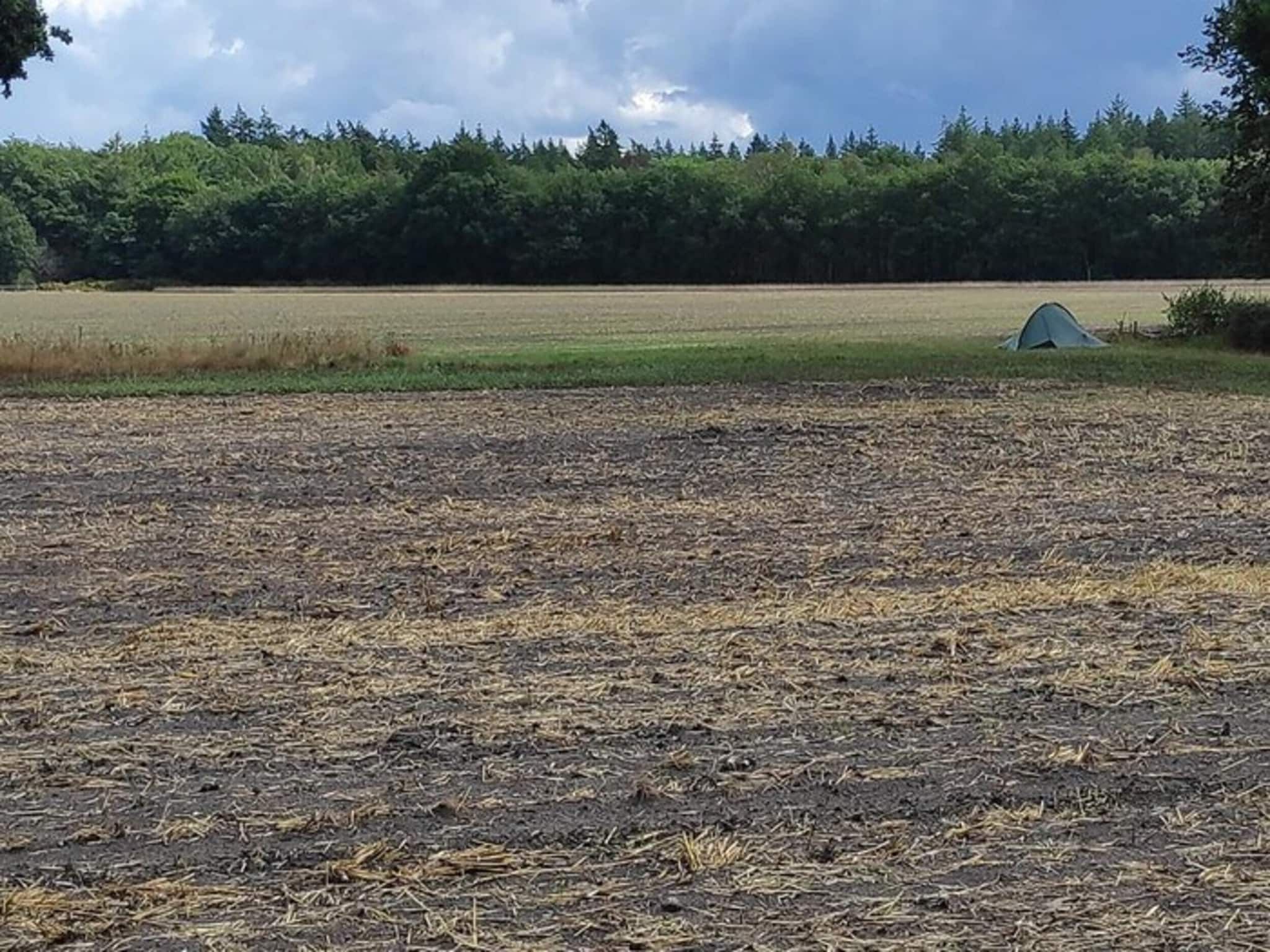 Steenpatrijs 17-06 in Voorthuizen - Foto 31 van 39